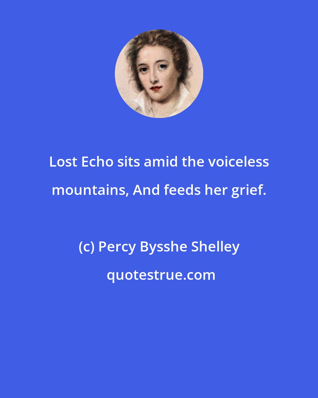 Percy Bysshe Shelley: Lost Echo sits amid the voiceless mountains, And feeds her grief.