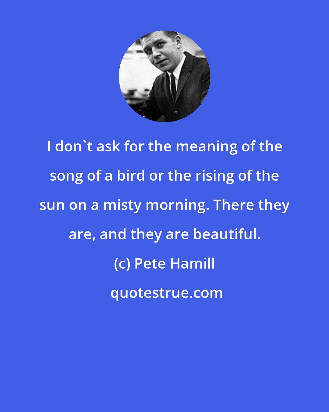 Pete Hamill: I don't ask for the meaning of the song of a bird or the rising of the sun on a misty morning. There they are, and they are beautiful.