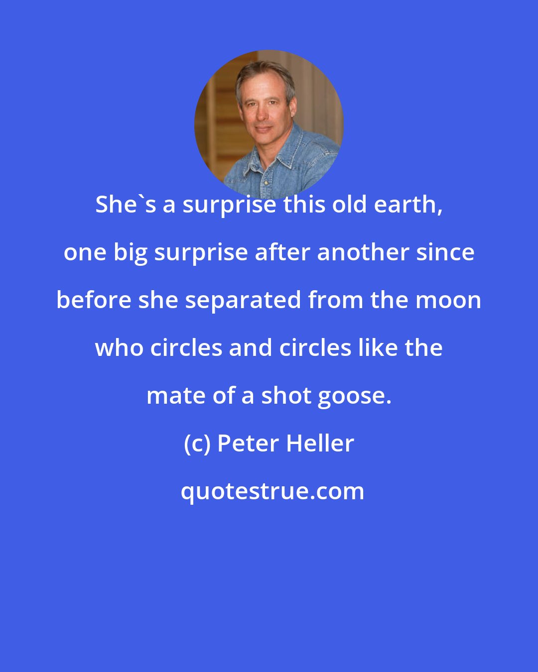 Peter Heller: She's a surprise this old earth, one big surprise after another since before she separated from the moon who circles and circles like the mate of a shot goose.