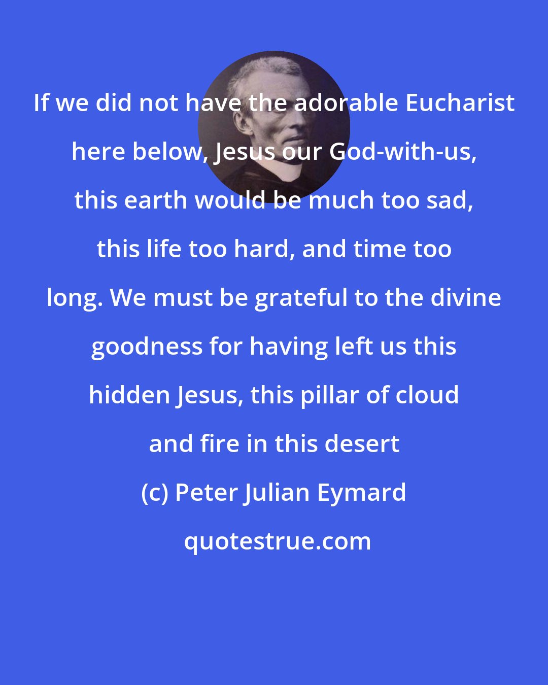 Peter Julian Eymard: If we did not have the adorable Eucharist here below, Jesus our God-with-us, this earth would be much too sad, this life too hard, and time too long. We must be grateful to the divine goodness for having left us this hidden Jesus, this pillar of cloud and fire in this desert