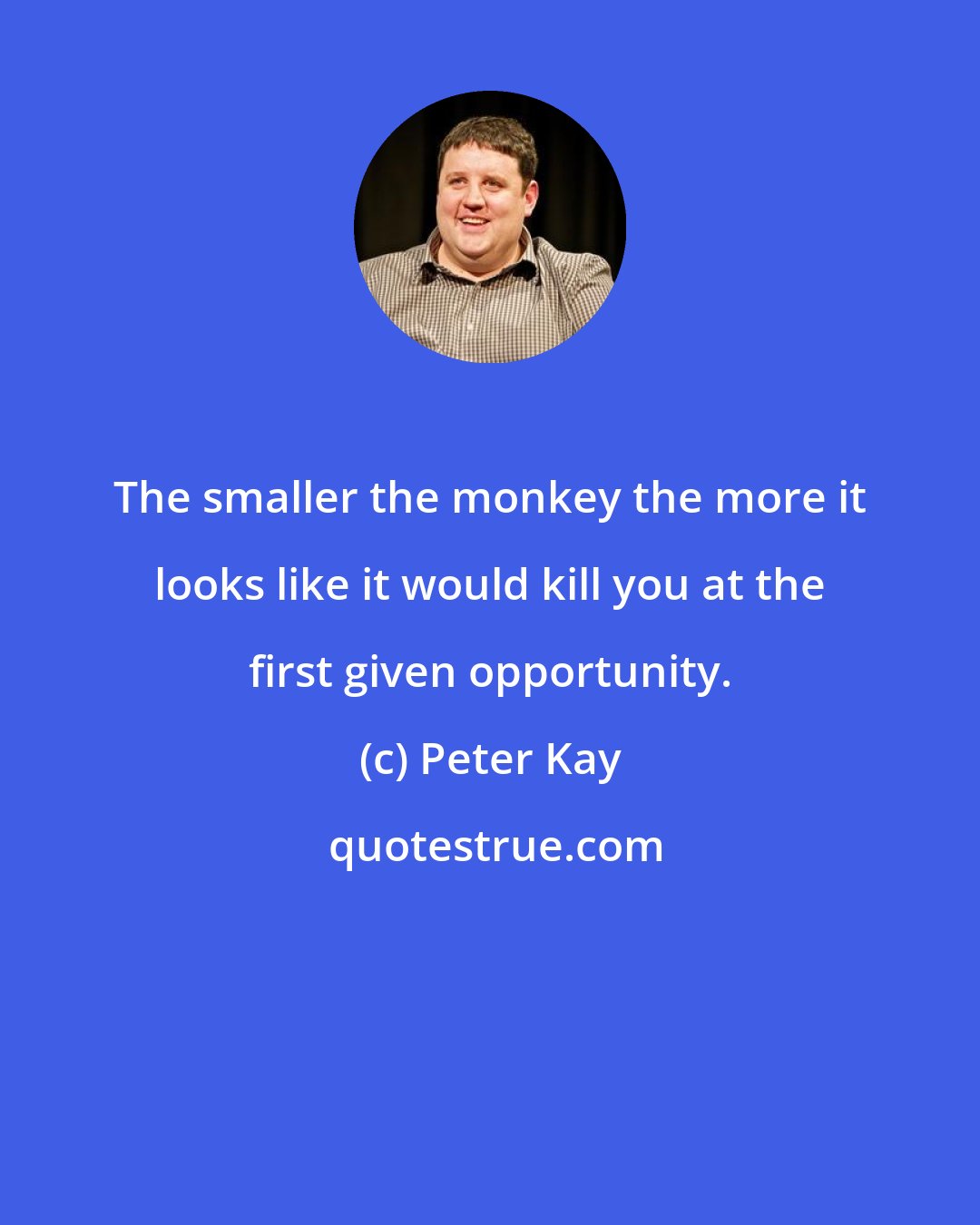 Peter Kay: The smaller the monkey the more it looks like it would kill you at the first given opportunity.