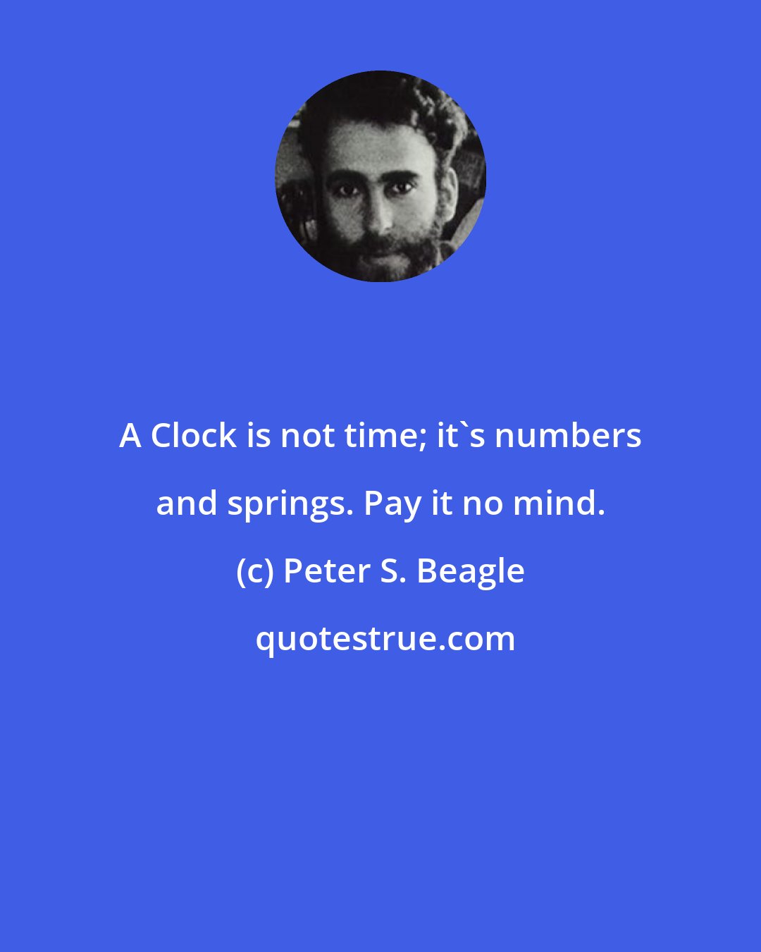 Peter S. Beagle: A Clock is not time; it's numbers and springs. Pay it no mind.