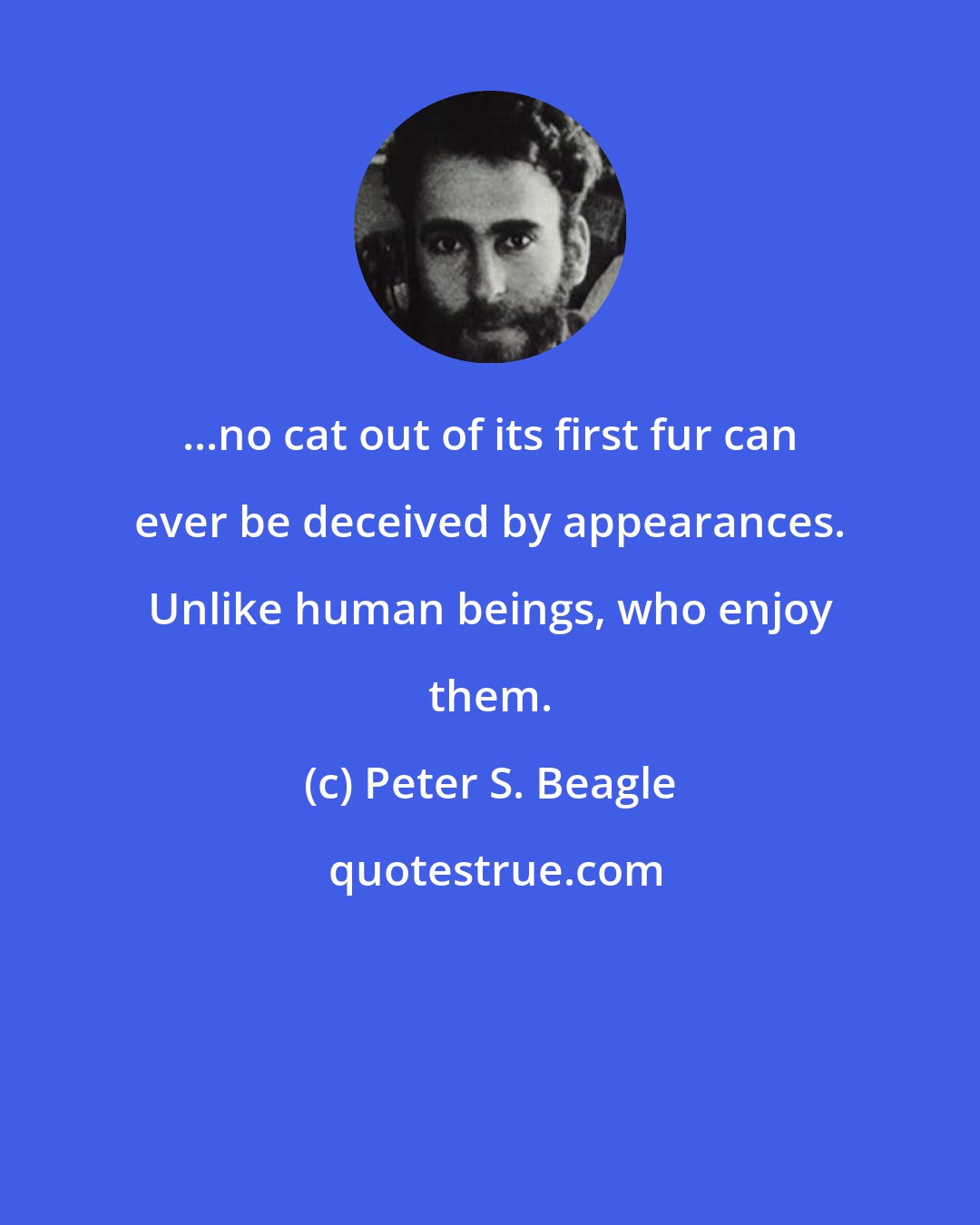 Peter S. Beagle: ...no cat out of its first fur can ever be deceived by appearances. Unlike human beings, who enjoy them.