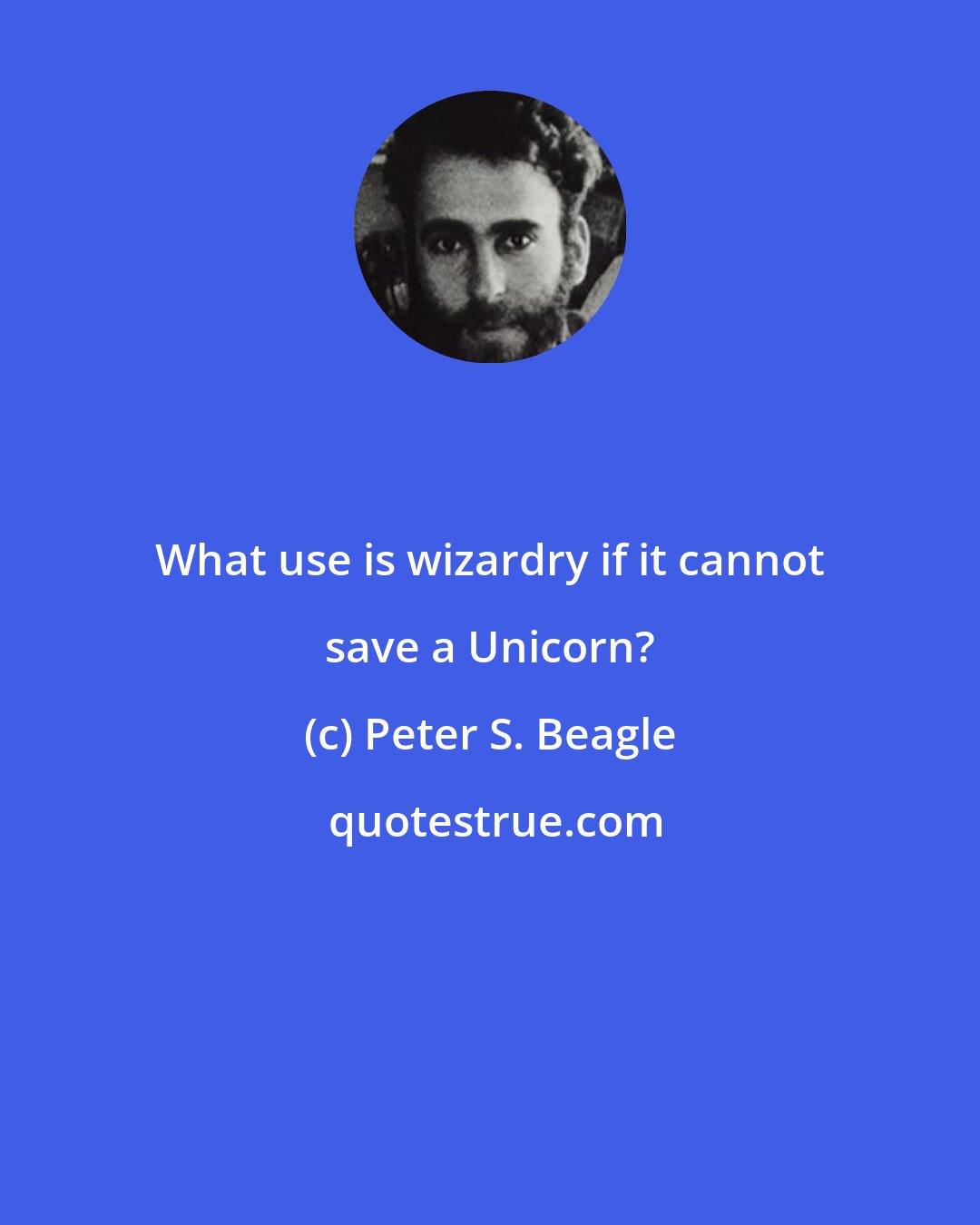 Peter S. Beagle: What use is wizardry if it cannot save a Unicorn?