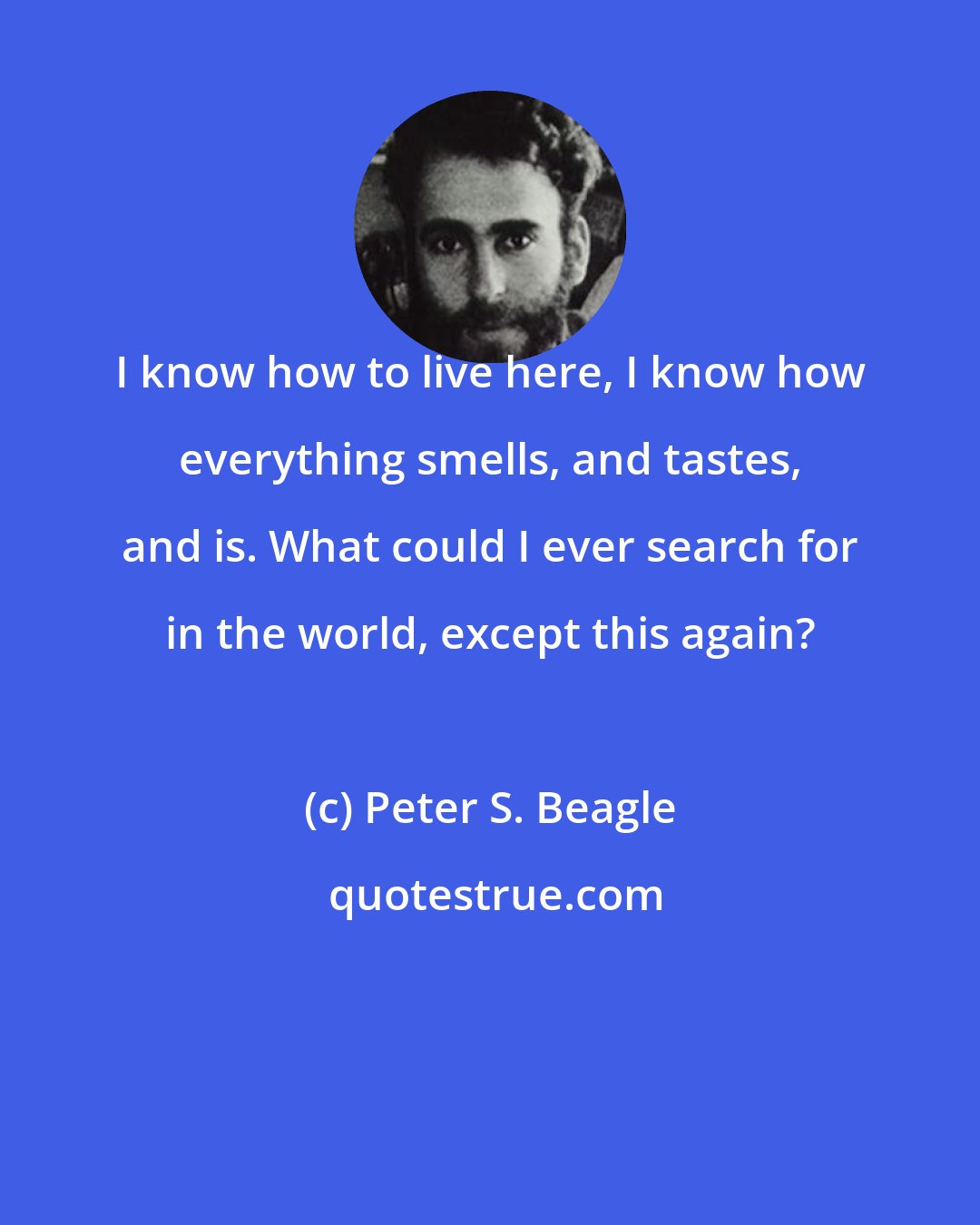 Peter S. Beagle: I know how to live here, I know how everything smells, and tastes, and is. What could I ever search for in the world, except this again?