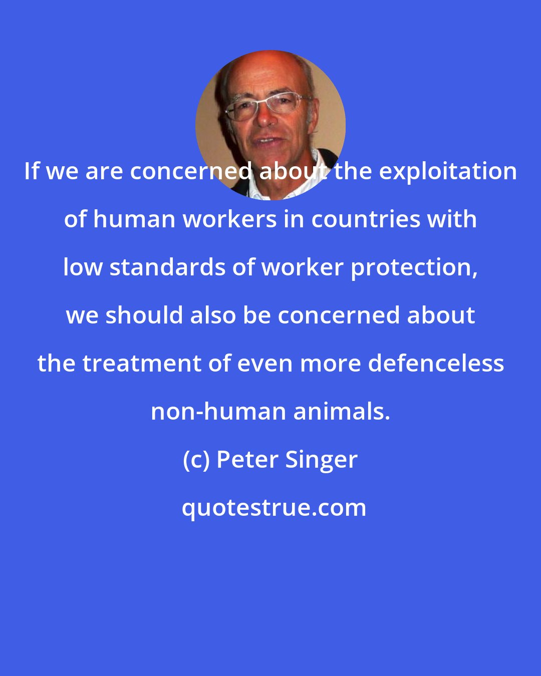 Peter Singer: If we are concerned about the exploitation of human workers in countries with low standards of worker protection, we should also be concerned about the treatment of even more defenceless non-human animals.