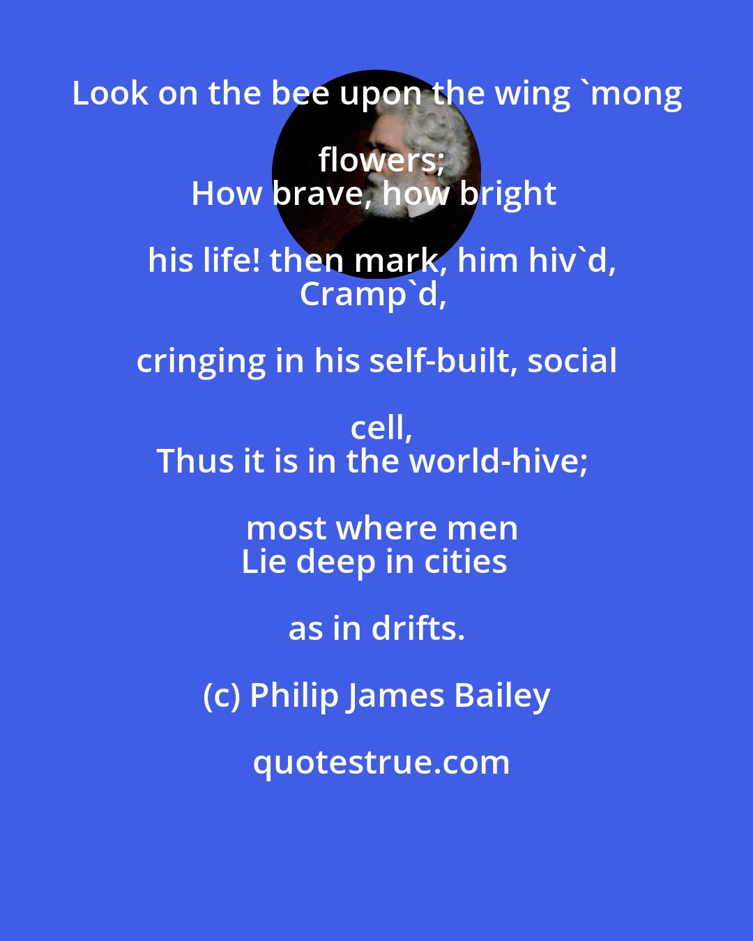 Philip James Bailey: Look on the bee upon the wing 'mong flowers;
How brave, how bright his life! then mark, him hiv'd,
Cramp'd, cringing in his self-built, social cell,
Thus it is in the world-hive; most where men
Lie deep in cities as in drifts.