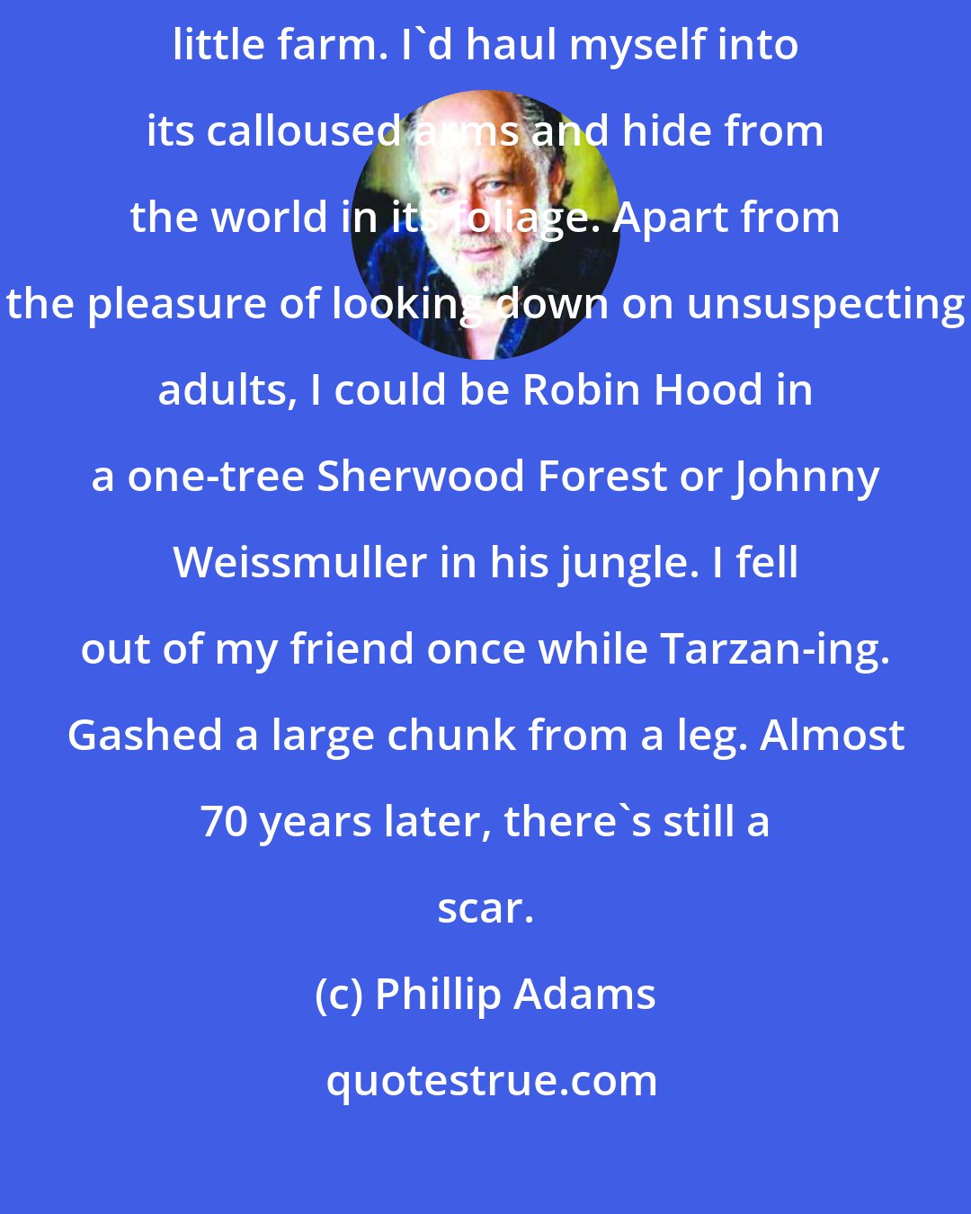 Phillip Adams: When I was five, a tree was my best friend. An old peppercorn on Grandpa's little farm. I'd haul myself into its calloused arms and hide from the world in its foliage. Apart from the pleasure of looking down on unsuspecting adults, I could be Robin Hood in a one-tree Sherwood Forest or Johnny Weissmuller in his jungle. I fell out of my friend once while Tarzan-ing. Gashed a large chunk from a leg. Almost 70 years later, there's still a scar.