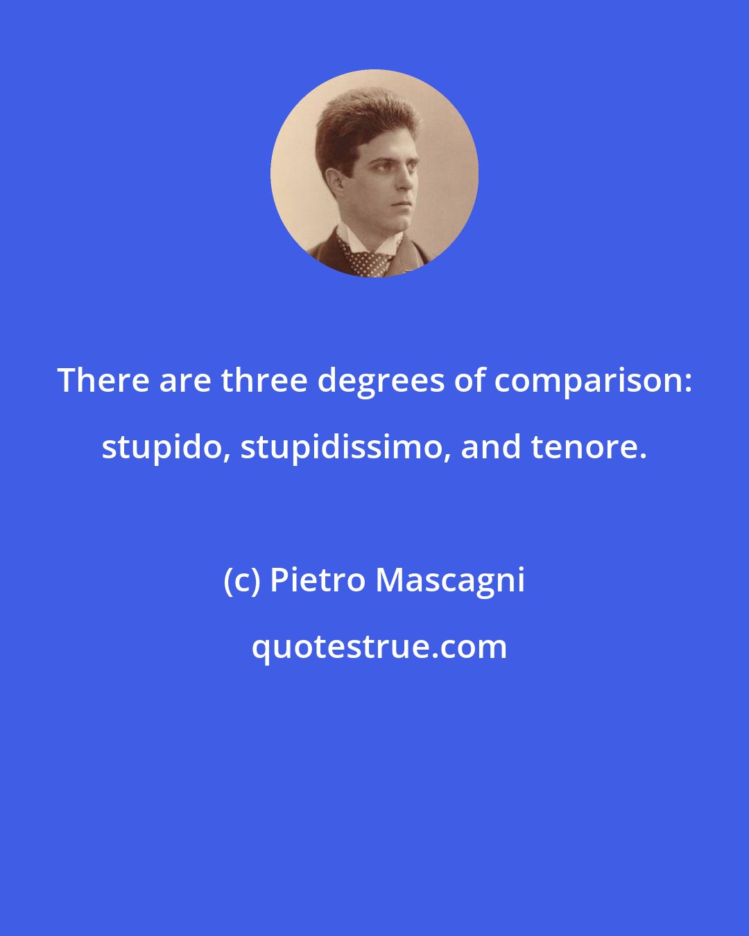 Pietro Mascagni: There are three degrees of comparison: stupido, stupidissimo, and tenore.