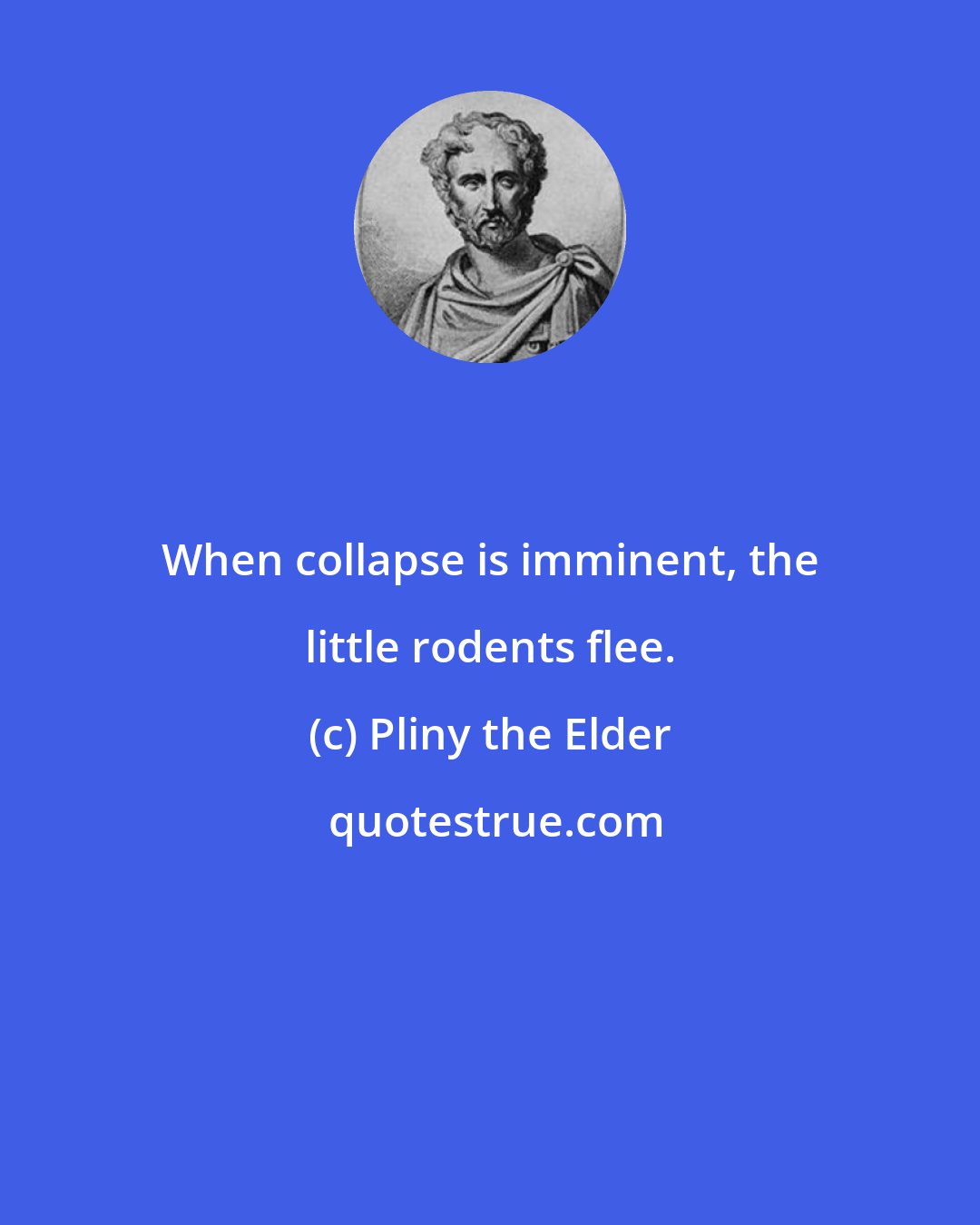 Pliny the Elder: When collapse is imminent, the little rodents flee.