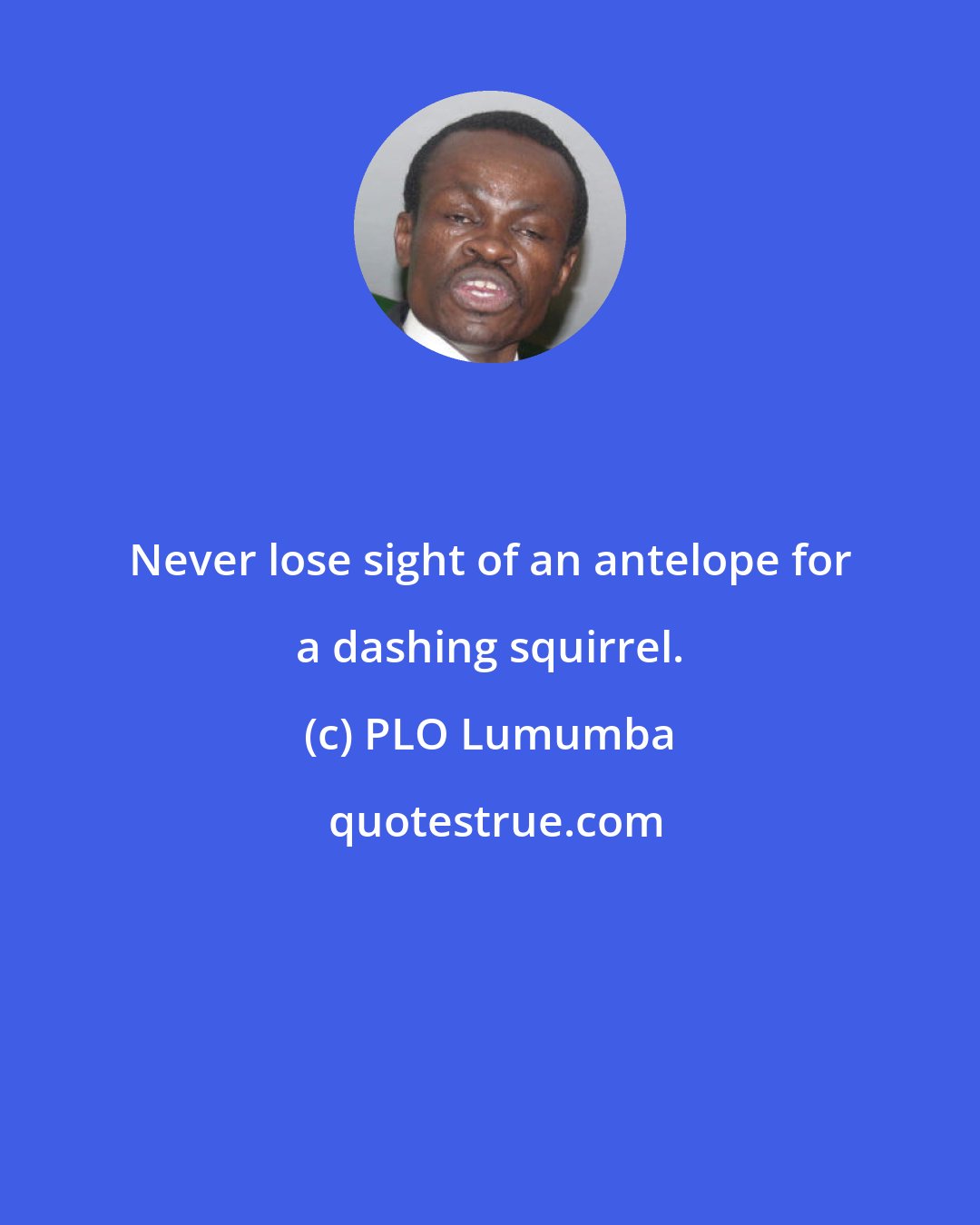 PLO Lumumba: Never lose sight of an antelope for a dashing squirrel.