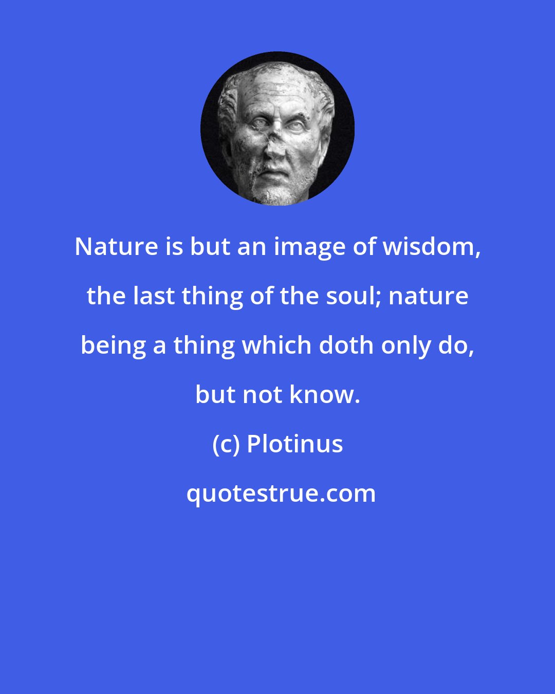 Plotinus: Nature is but an image of wisdom, the last thing of the soul; nature being a thing which doth only do, but not know.