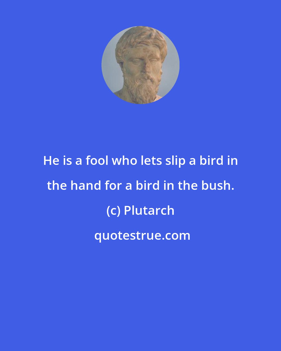 Plutarch: He is a fool who lets slip a bird in the hand for a bird in the bush.