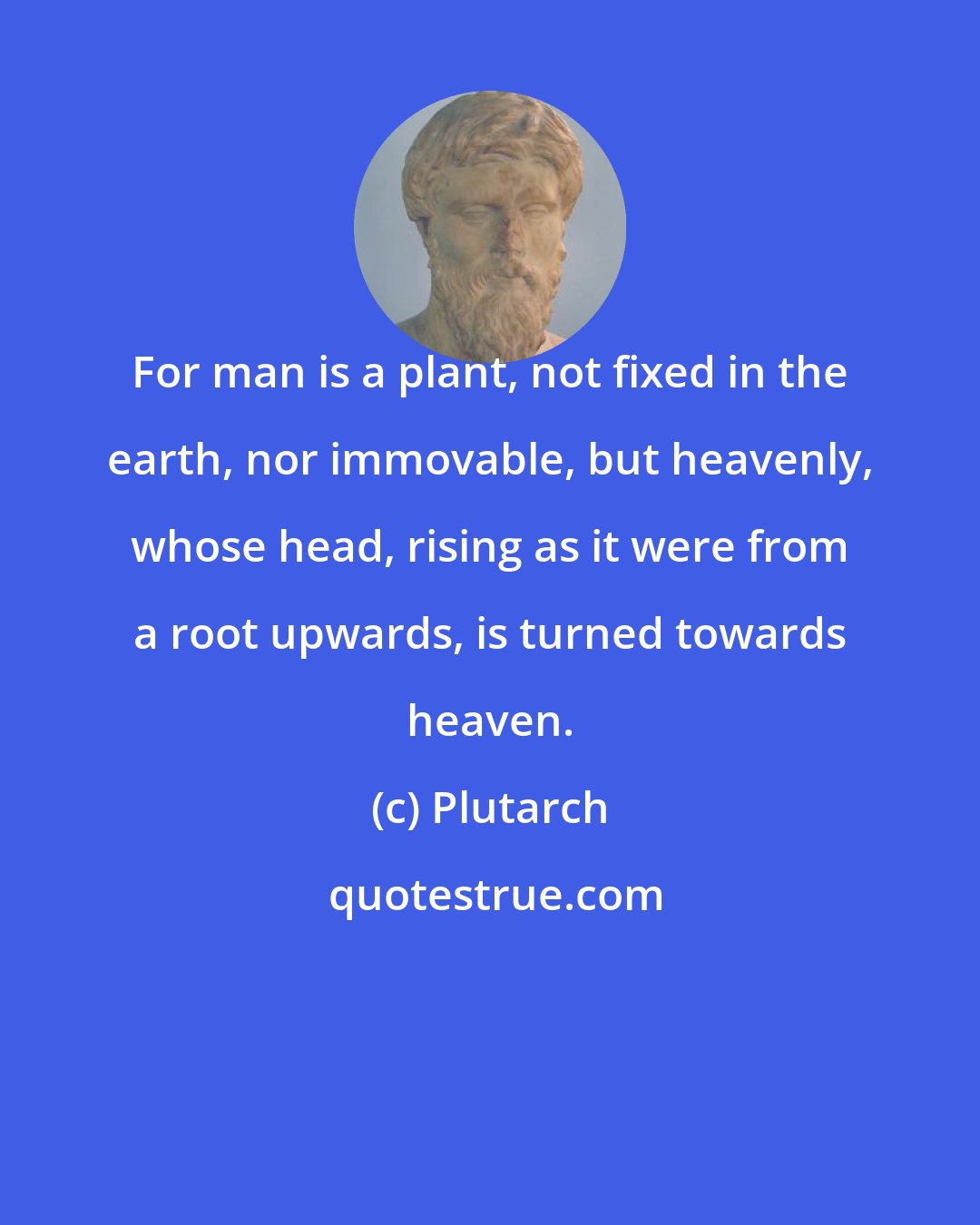 Plutarch: For man is a plant, not fixed in the earth, nor immovable, but heavenly, whose head, rising as it were from a root upwards, is turned towards heaven.