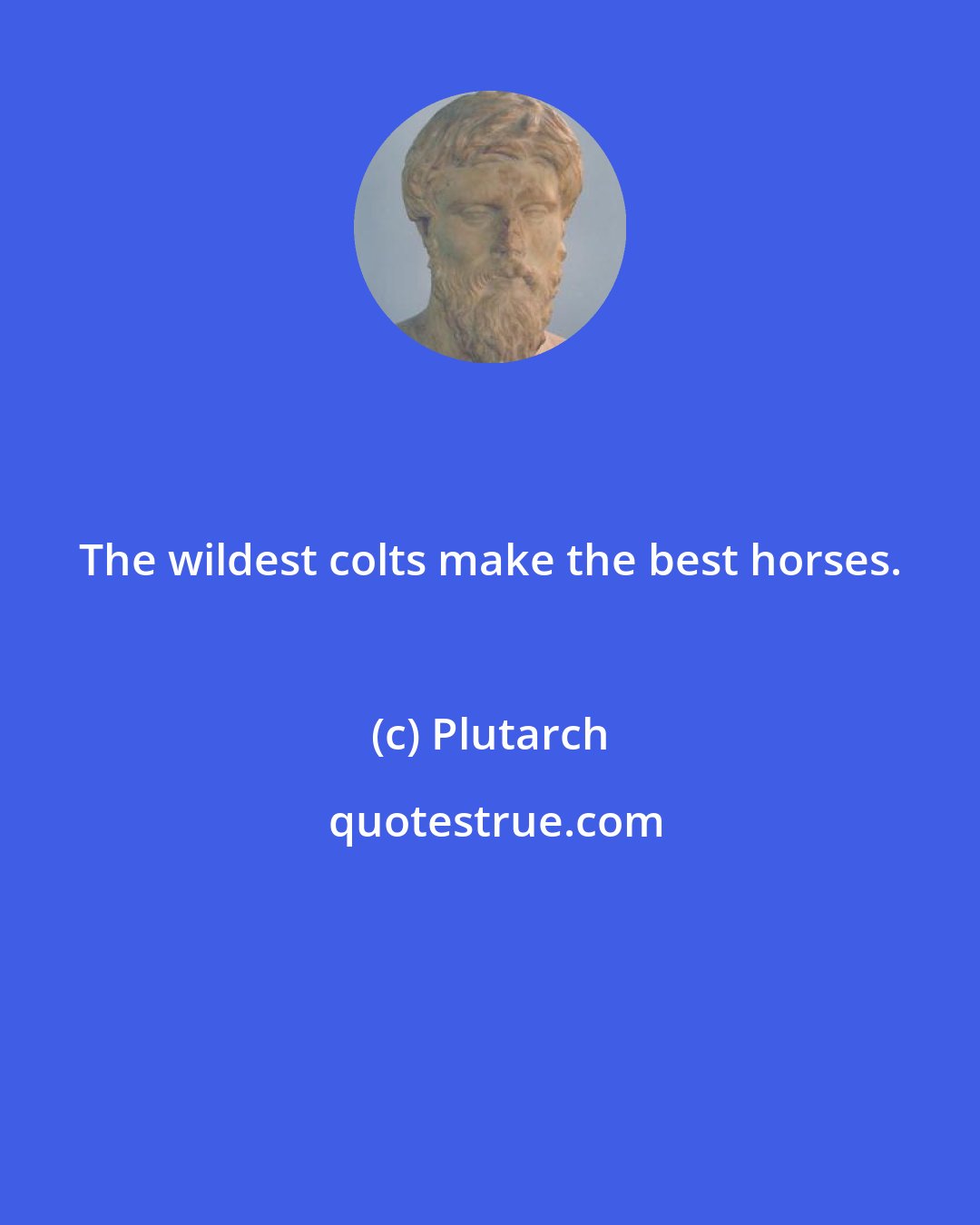 Plutarch: The wildest colts make the best horses.