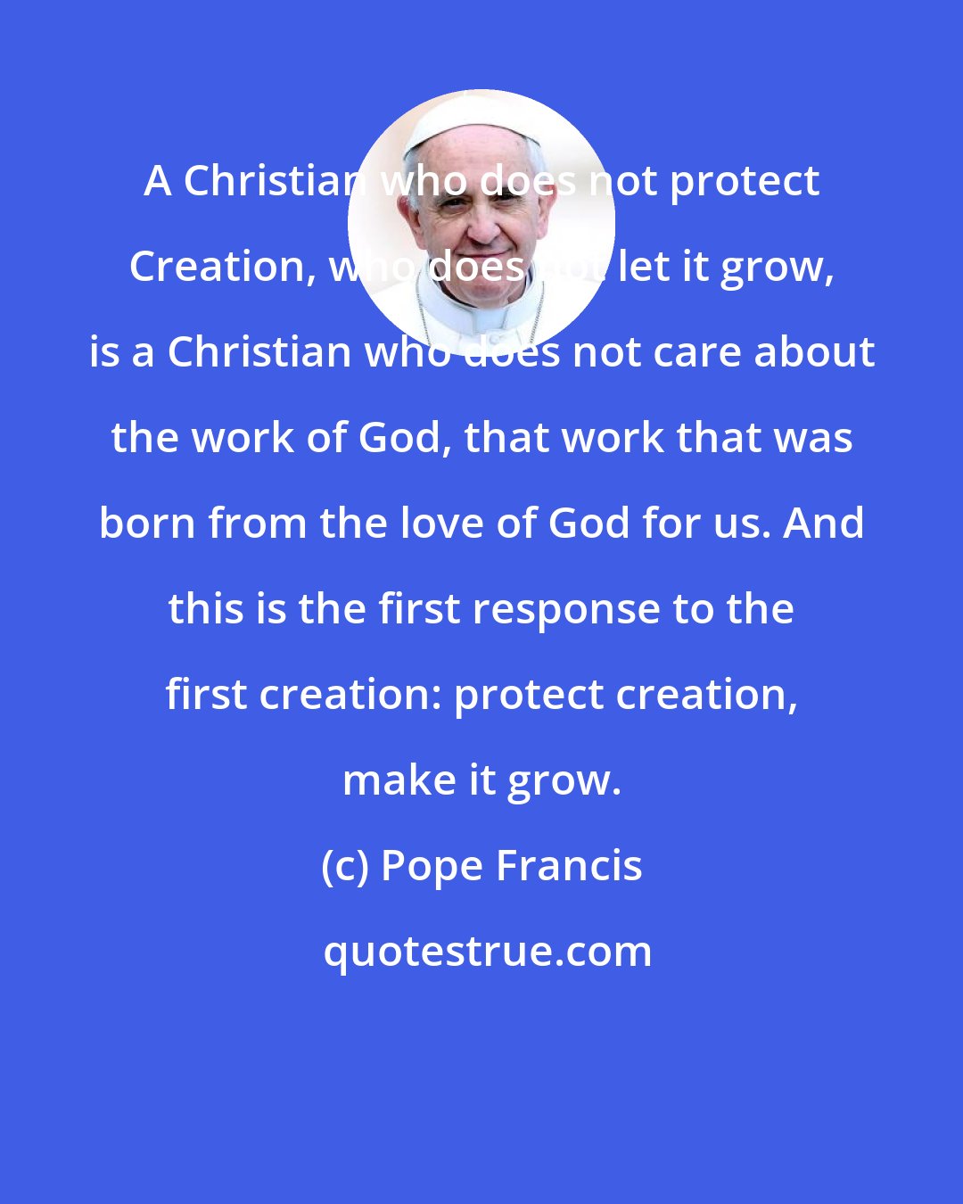 Pope Francis: A Christian who does not protect Creation, who does not let it grow, is a Christian who does not care about the work of God, that work that was born from the love of God for us. And this is the first response to the first creation: protect creation, make it grow.
