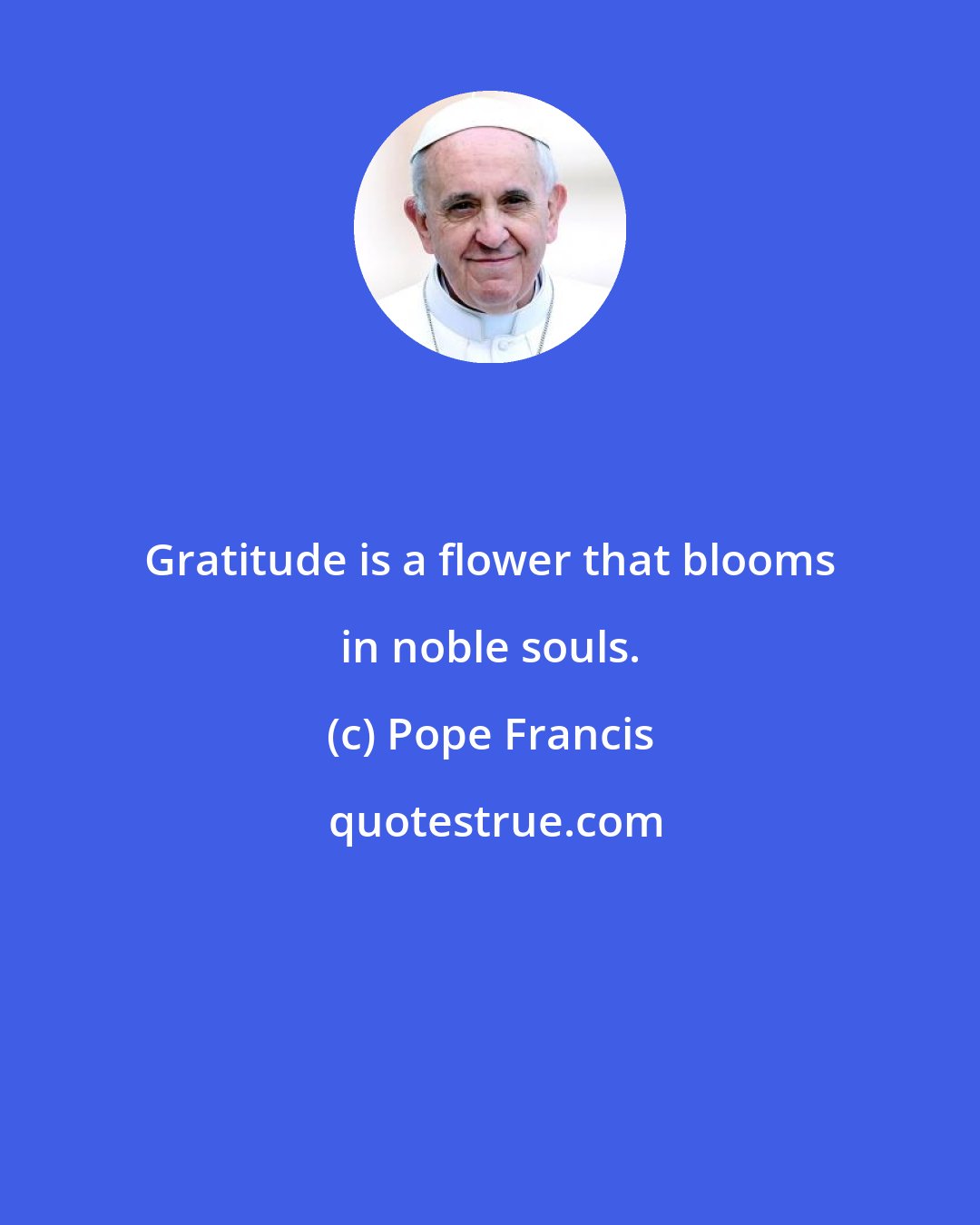 Pope Francis: Gratitude is a flower that blooms in noble souls.