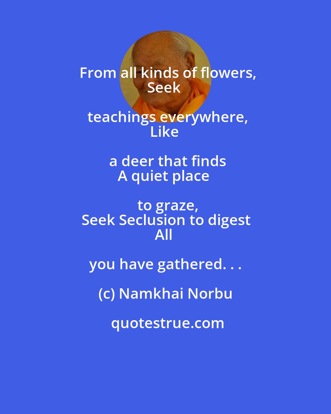 Namkhai Norbu: From all kinds of flowers,
Seek teachings everywhere,
Like a deer that finds
A quiet place to graze,
Seek Seclusion to digest
All you have gathered. . .