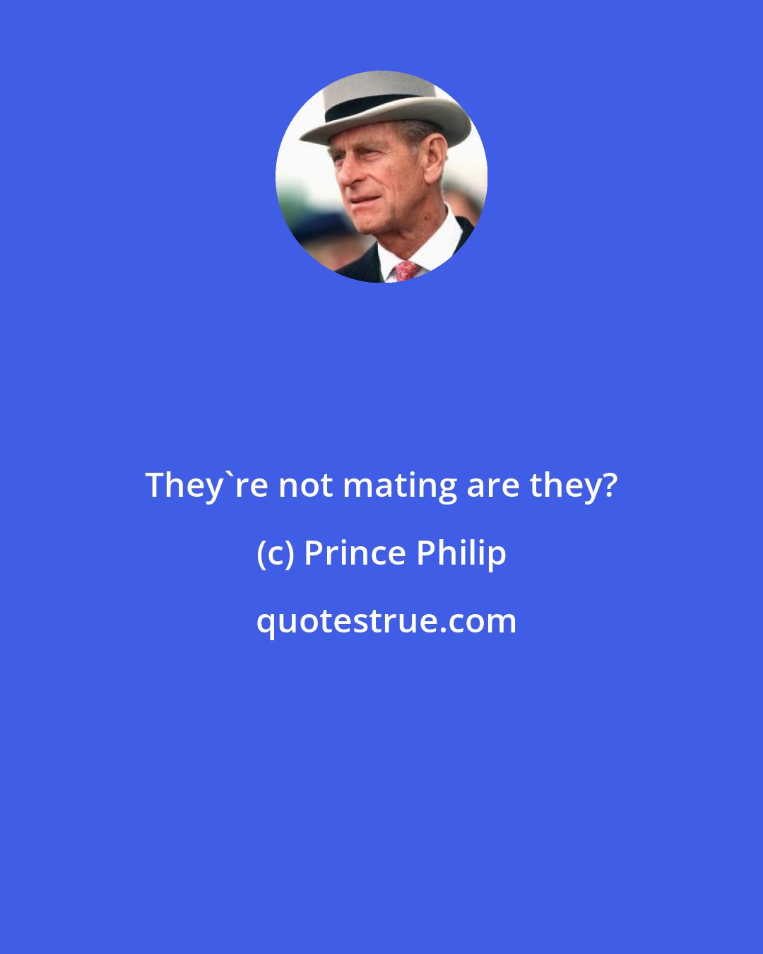 Prince Philip: They're not mating are they?