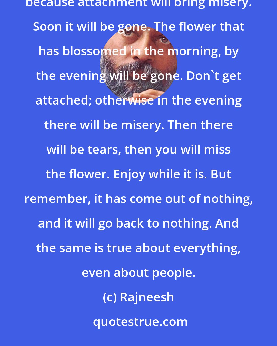 Rajneesh: Everything comes out of nothingness and goes back into nothingness. Hence there is no need for attachment, because attachment will bring misery. Soon it will be gone. The flower that has blossomed in the morning, by the evening will be gone. Don't get attached; otherwise in the evening there will be misery. Then there will be tears, then you will miss the flower. Enjoy while it is. But remember, it has come out of nothing, and it will go back to nothing. And the same is true about everything, even about people.