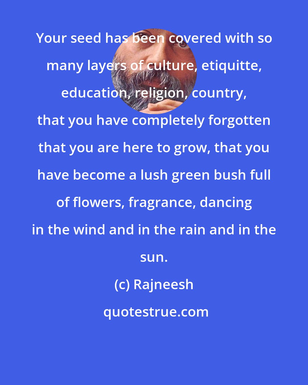 Rajneesh: Your seed has been covered with so many layers of culture, etiquitte, education, religion, country, that you have completely forgotten that you are here to grow, that you have become a lush green bush full of flowers, fragrance, dancing in the wind and in the rain and in the sun.