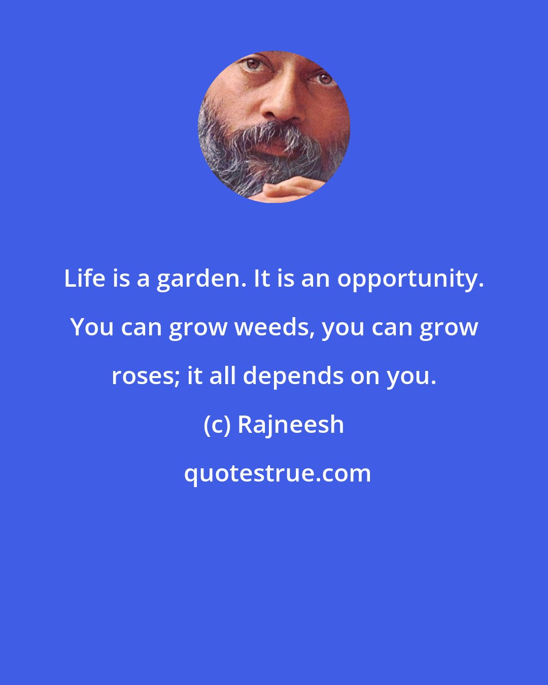 Rajneesh: Life is a garden. It is an opportunity. You can grow weeds, you can grow roses; it all depends on you.