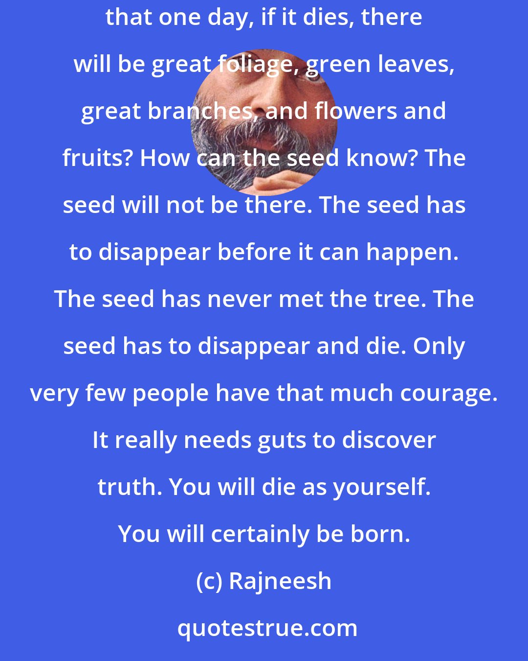 Rajneesh: How can the seed know that by dying in the soil it will become a great tree? It will not be there to witness the happening. How can the seed know that one day, if it dies, there will be great foliage, green leaves, great branches, and flowers and fruits? How can the seed know? The seed will not be there. The seed has to disappear before it can happen. The seed has never met the tree. The seed has to disappear and die. Only very few people have that much courage. It really needs guts to discover truth. You will die as yourself. You will certainly be born.