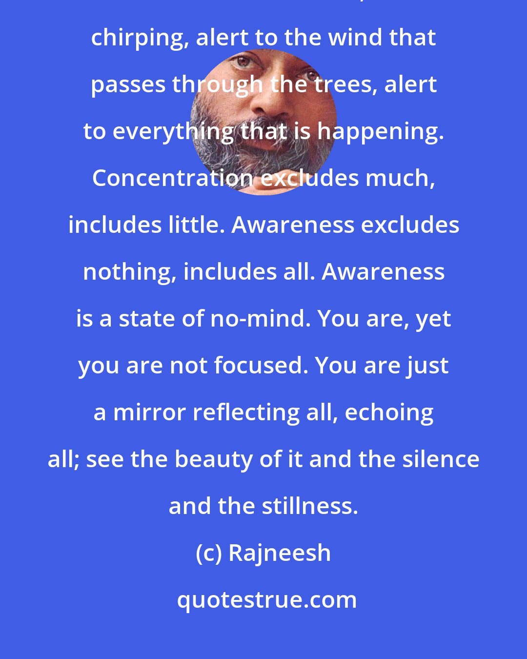 Rajneesh: Awareness means to listen to me unfocused - alert of course, not fallen asleep, but alert to these birds, their chirping, alert to the wind that passes through the trees, alert to everything that is happening. Concentration excludes much, includes little. Awareness excludes nothing, includes all. Awareness is a state of no-mind. You are, yet you are not focused. You are just a mirror reflecting all, echoing all; see the beauty of it and the silence and the stillness.