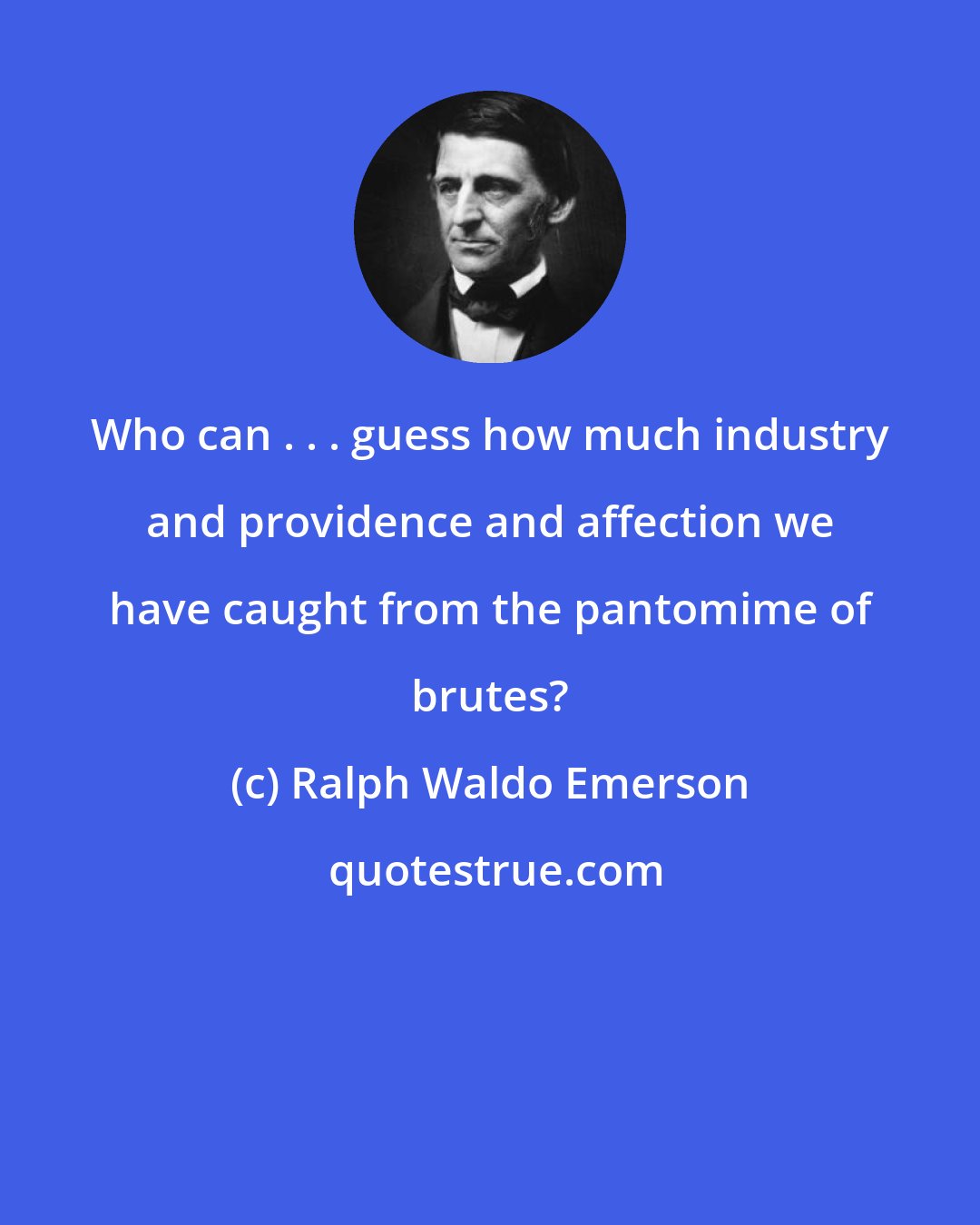 Ralph Waldo Emerson: Who can . . . guess how much industry and providence and affection we have caught from the pantomime of brutes?