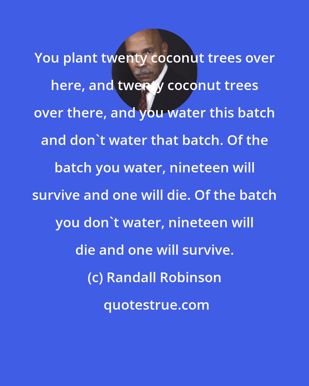 Randall Robinson: You plant twenty coconut trees over here, and twenty coconut trees over there, and you water this batch and don't water that batch. Of the batch you water, nineteen will survive and one will die. Of the batch you don't water, nineteen will die and one will survive.