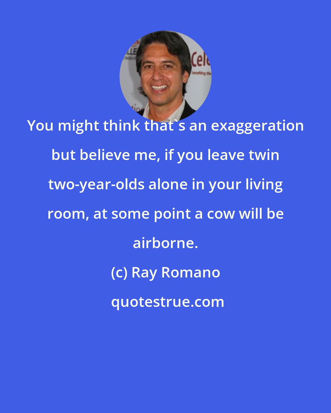 Ray Romano: You might think that's an exaggeration but believe me, if you leave twin two-year-olds alone in your living room, at some point a cow will be airborne.