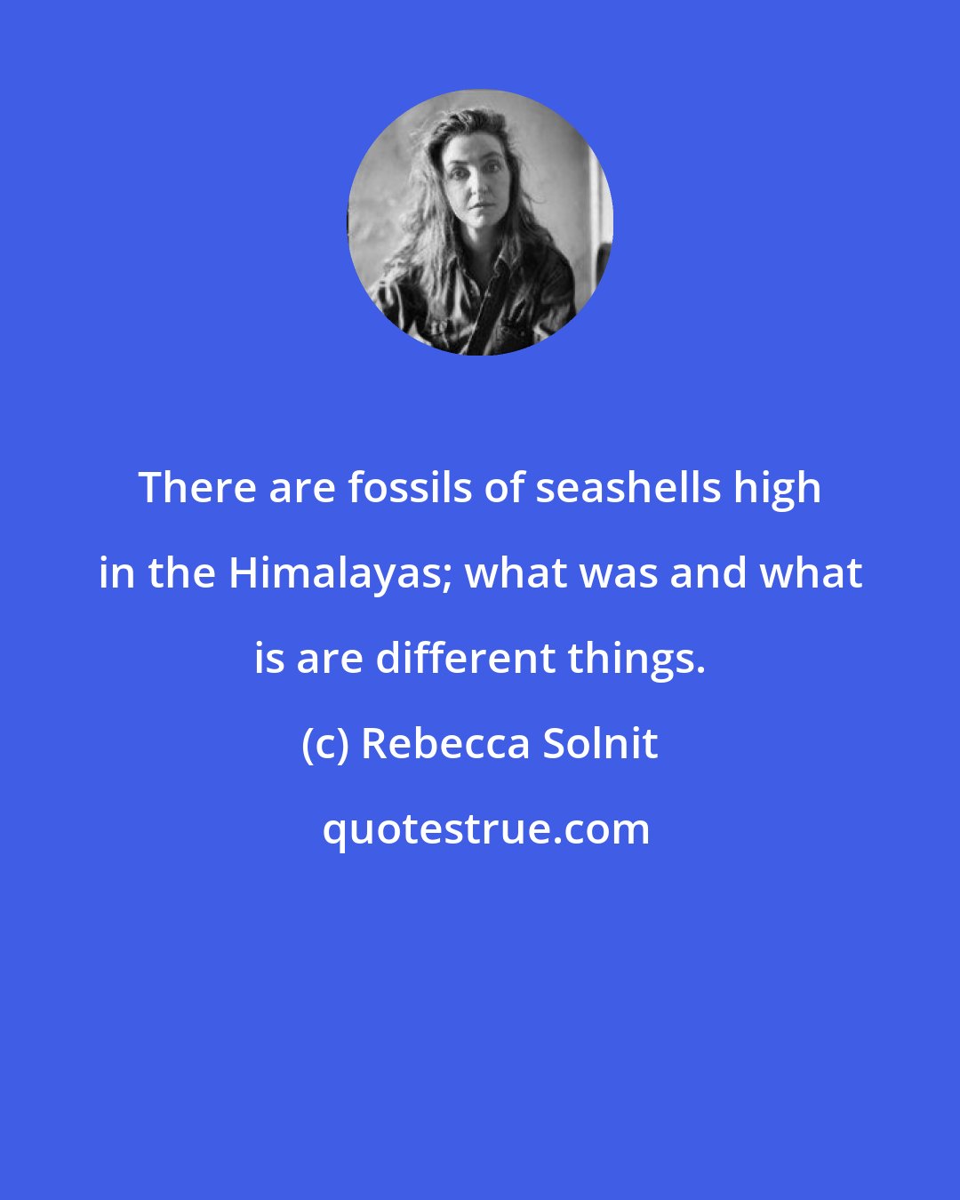 Rebecca Solnit: There are fossils of seashells high in the Himalayas; what was and what is are different things.