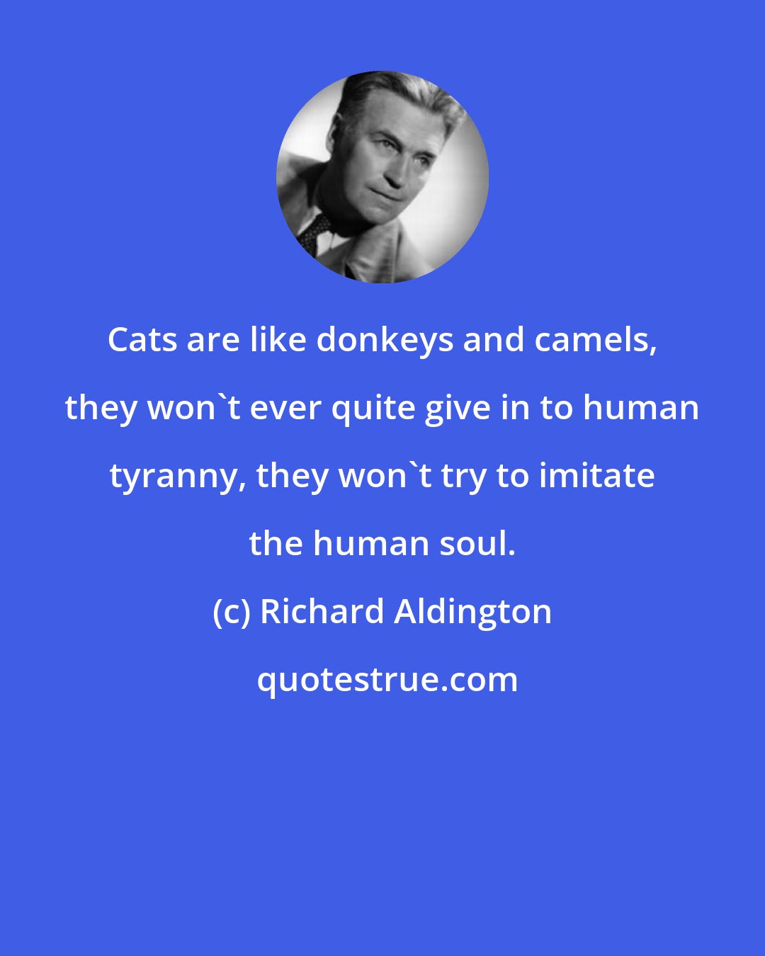 Richard Aldington: Cats are like donkeys and camels, they won't ever quite give in to human tyranny, they won't try to imitate the human soul.