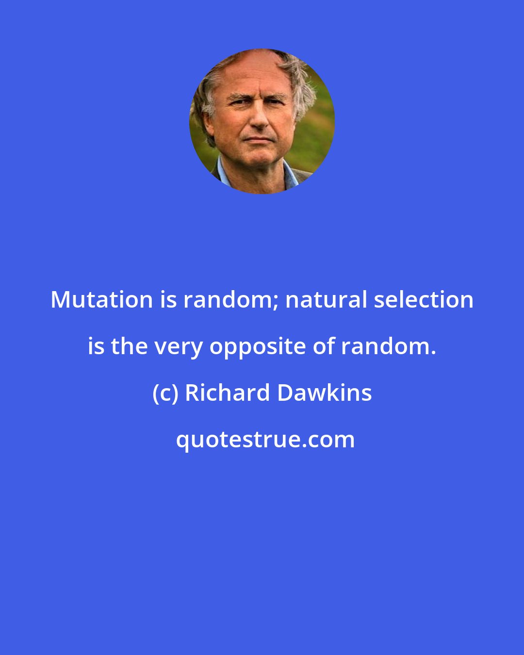 Richard Dawkins: Mutation is random; natural selection is the very opposite of random.