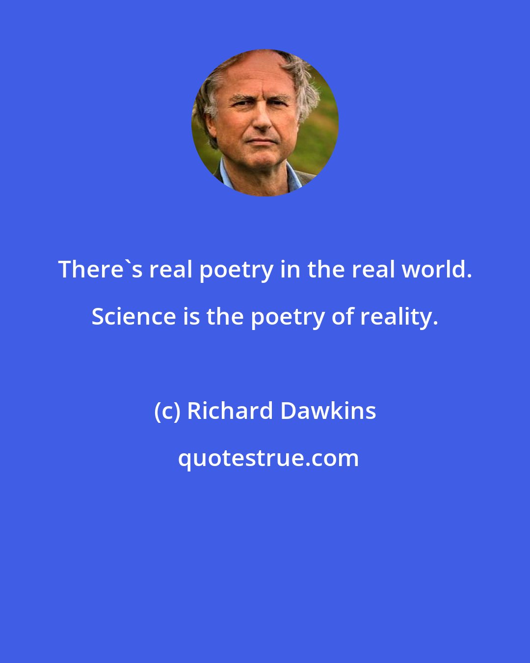 Richard Dawkins: There's real poetry in the real world. Science is the poetry of reality.