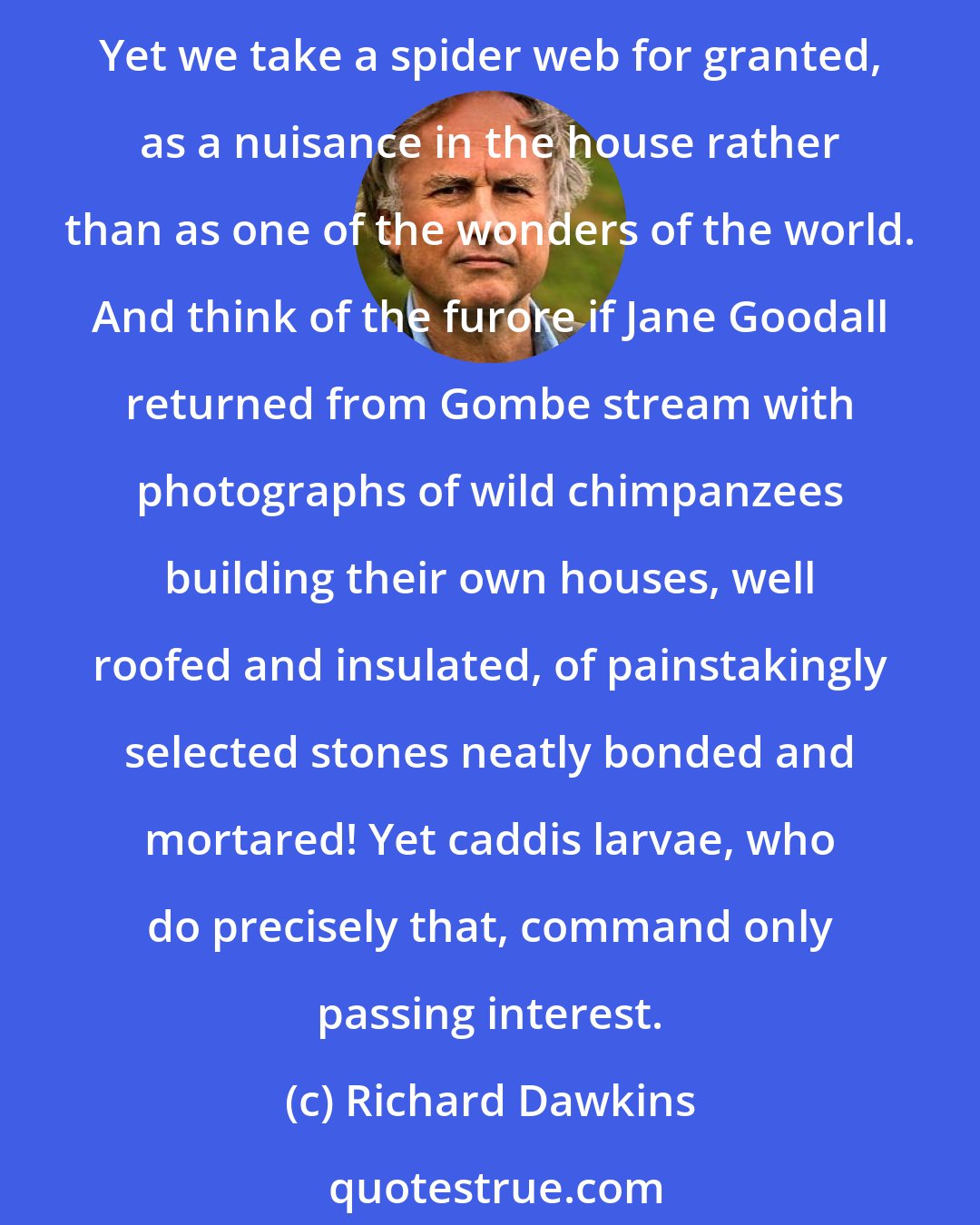 Richard Dawkins: Just imagine the banner headlines if a marine biologist were to discover a species of dolphin that wove large, intricately meshed fishing nets, twenty dolphin-lengths in diameter! Yet we take a spider web for granted, as a nuisance in the house rather than as one of the wonders of the world. And think of the furore if Jane Goodall returned from Gombe stream with photographs of wild chimpanzees building their own houses, well roofed and insulated, of painstakingly selected stones neatly bonded and mortared! Yet caddis larvae, who do precisely that, command only passing interest.