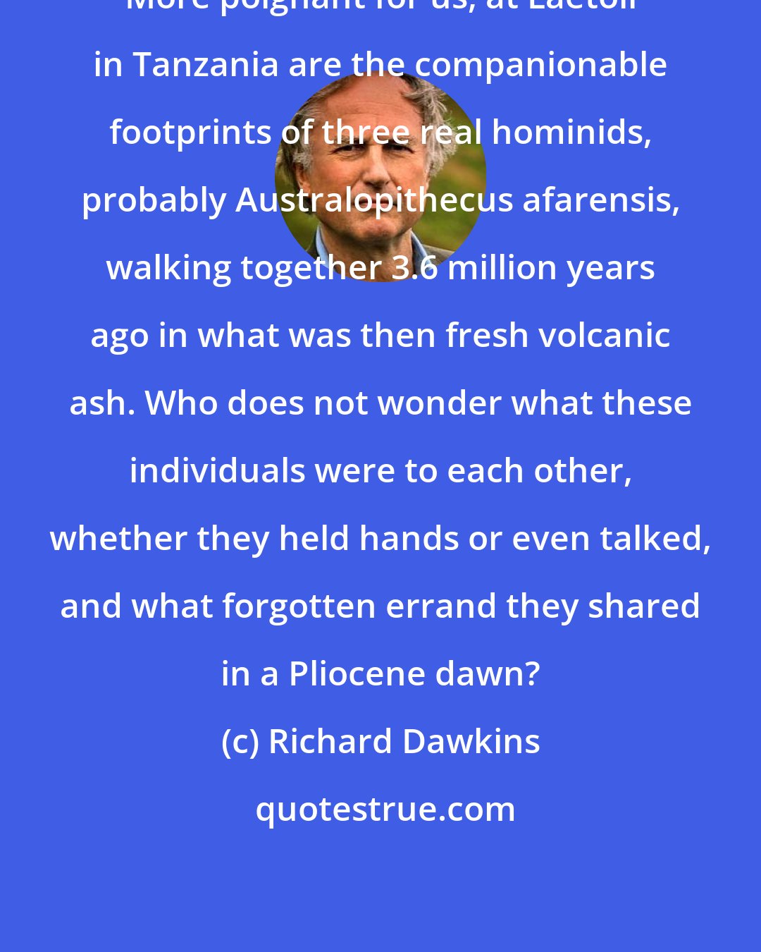Richard Dawkins: More poignant for us, at Laetoli in Tanzania are the companionable footprints of three real hominids, probably Australopithecus afarensis, walking together 3.6 million years ago in what was then fresh volcanic ash. Who does not wonder what these individuals were to each other, whether they held hands or even talked, and what forgotten errand they shared in a Pliocene dawn?