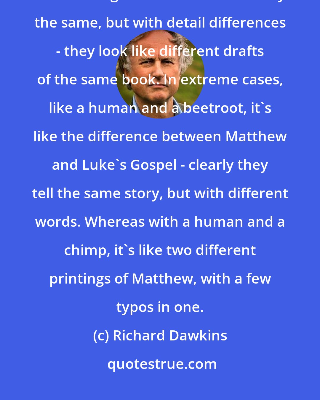 Richard Dawkins: We have the same genetic code for all living creatures. We have a large number of genes that are manifestly the same, but with detail differences - they look like different drafts of the same book. In extreme cases, like a human and a beetroot, it's like the difference between Matthew and Luke's Gospel - clearly they tell the same story, but with different words. Whereas with a human and a chimp, it's like two different printings of Matthew, with a few typos in one.