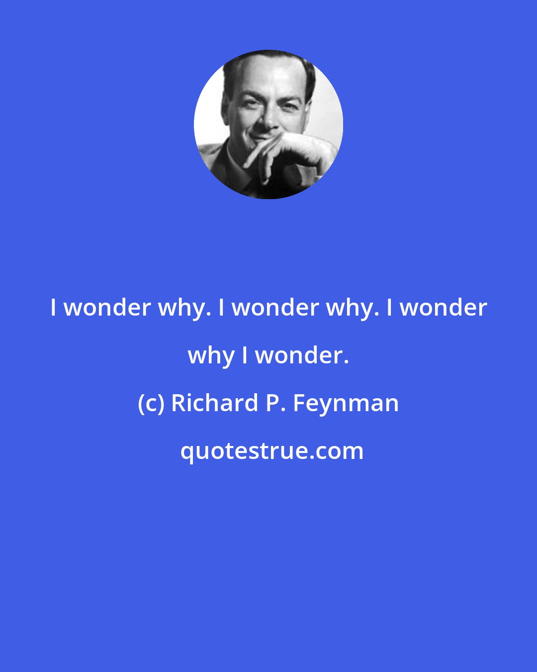 Richard P. Feynman: I wonder why. I wonder why. I wonder why I wonder.