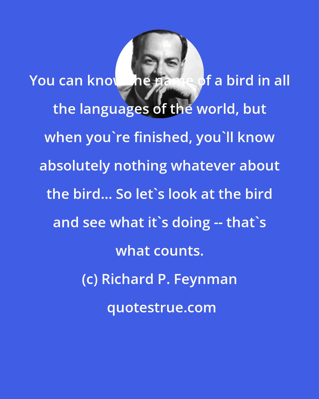 Richard P. Feynman: You can know the name of a bird in all the languages of the world, but when you're finished, you'll know absolutely nothing whatever about the bird... So let's look at the bird and see what it's doing -- that's what counts.