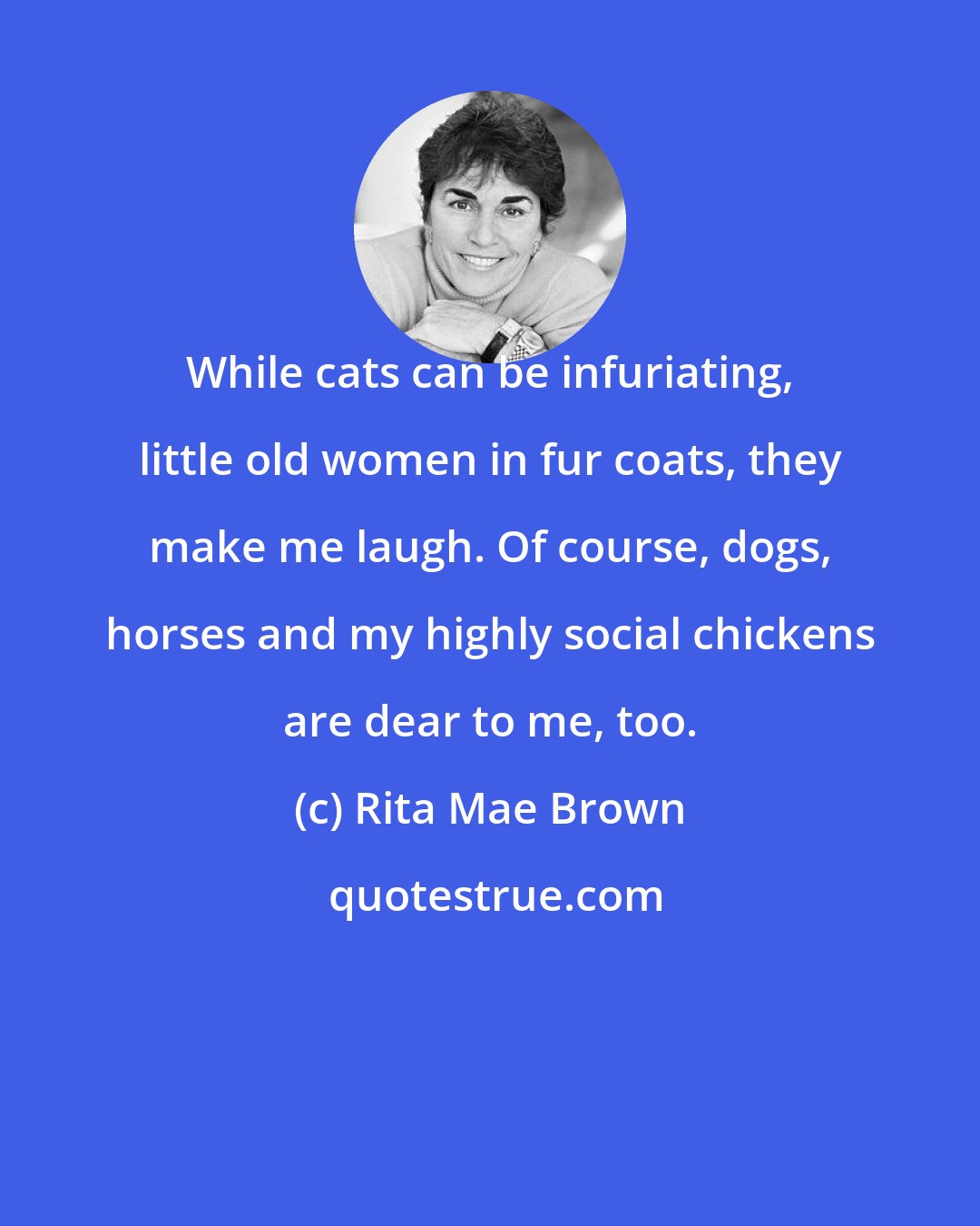 Rita Mae Brown: While cats can be infuriating, little old women in fur coats, they make me laugh. Of course, dogs, horses and my highly social chickens are dear to me, too.