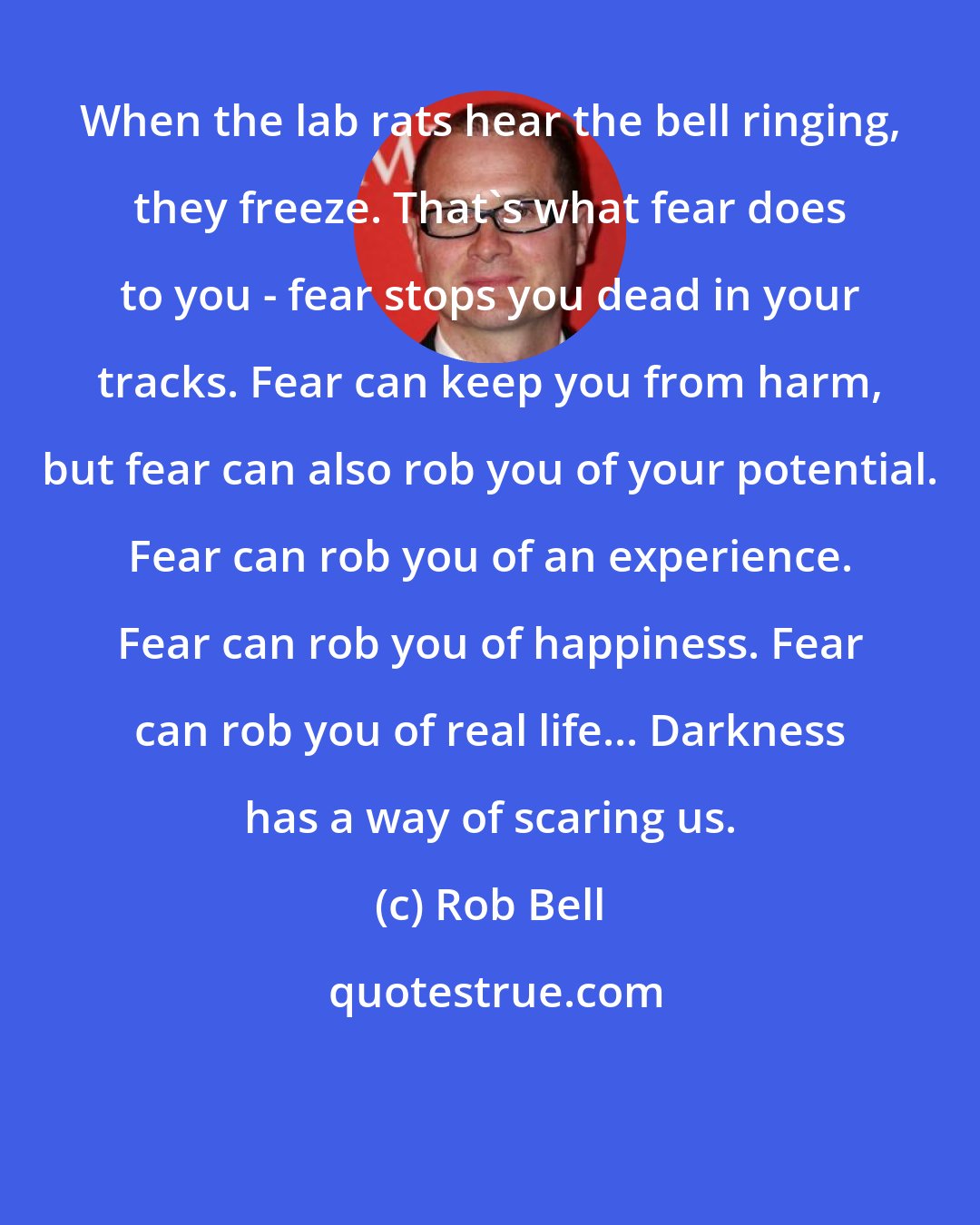 Rob Bell: When the lab rats hear the bell ringing, they freeze. That's what fear does to you - fear stops you dead in your tracks. Fear can keep you from harm, but fear can also rob you of your potential. Fear can rob you of an experience. Fear can rob you of happiness. Fear can rob you of real life... Darkness has a way of scaring us.