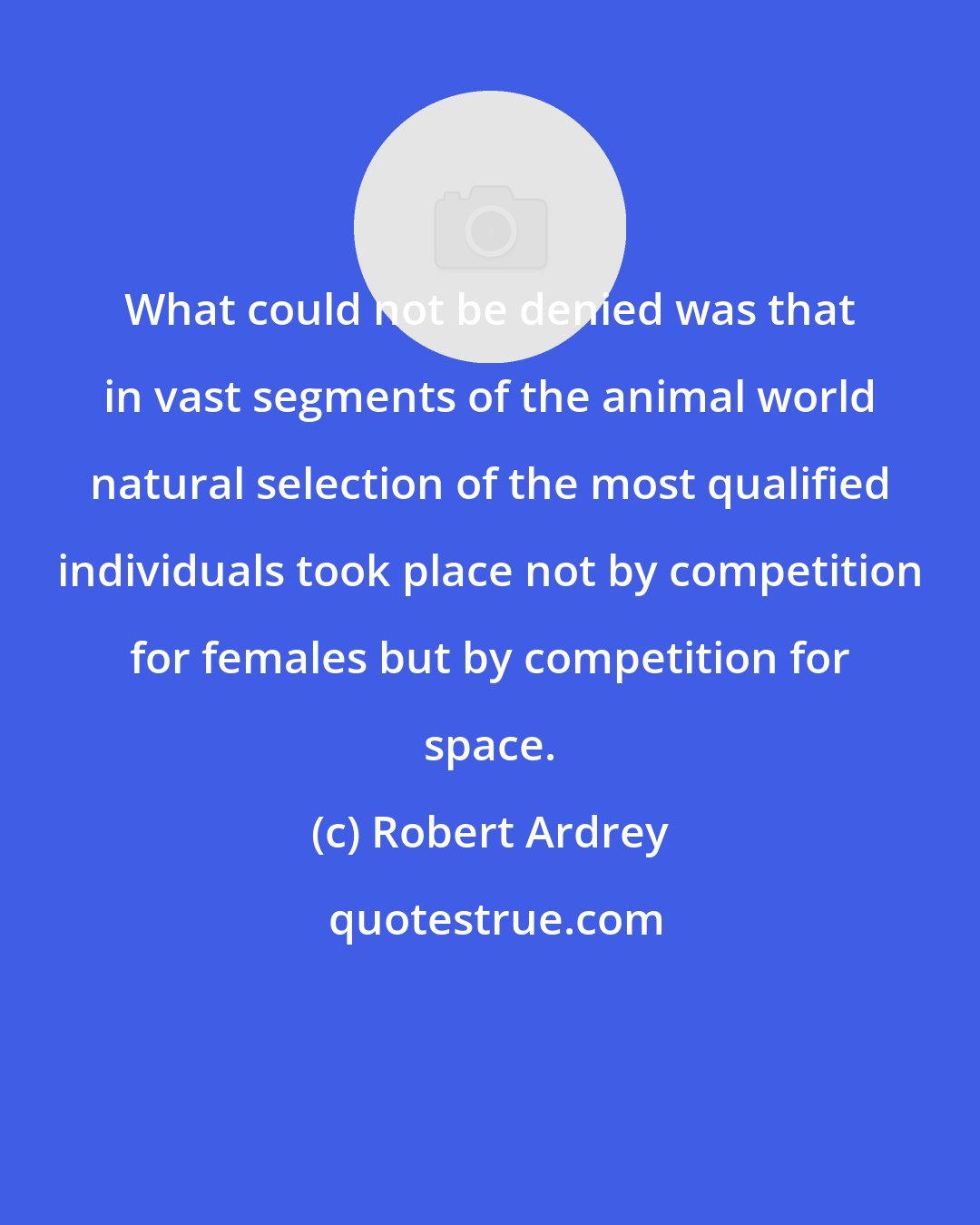 Robert Ardrey: What could not be denied was that in vast segments of the animal world natural selection of the most qualified individuals took place not by competition for females but by competition for space.