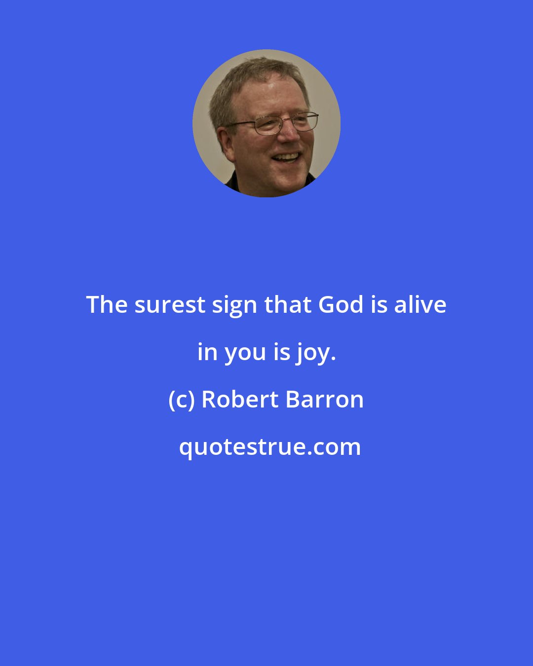 Robert Barron: The surest sign that God is alive in you is joy.