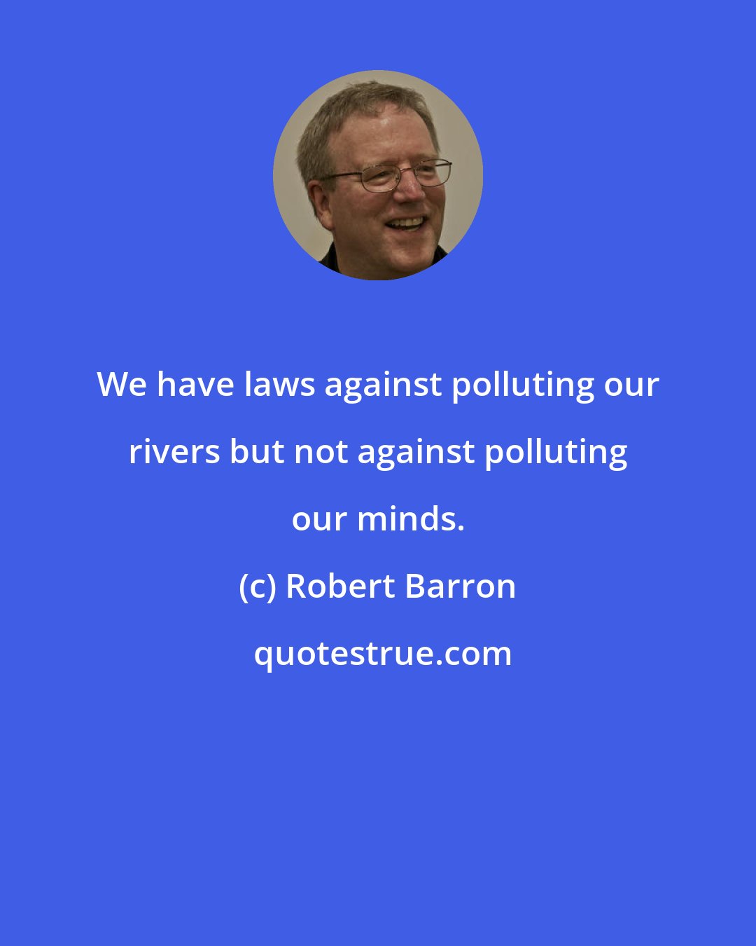 Robert Barron: We have laws against polluting our rivers but not against polluting our minds.