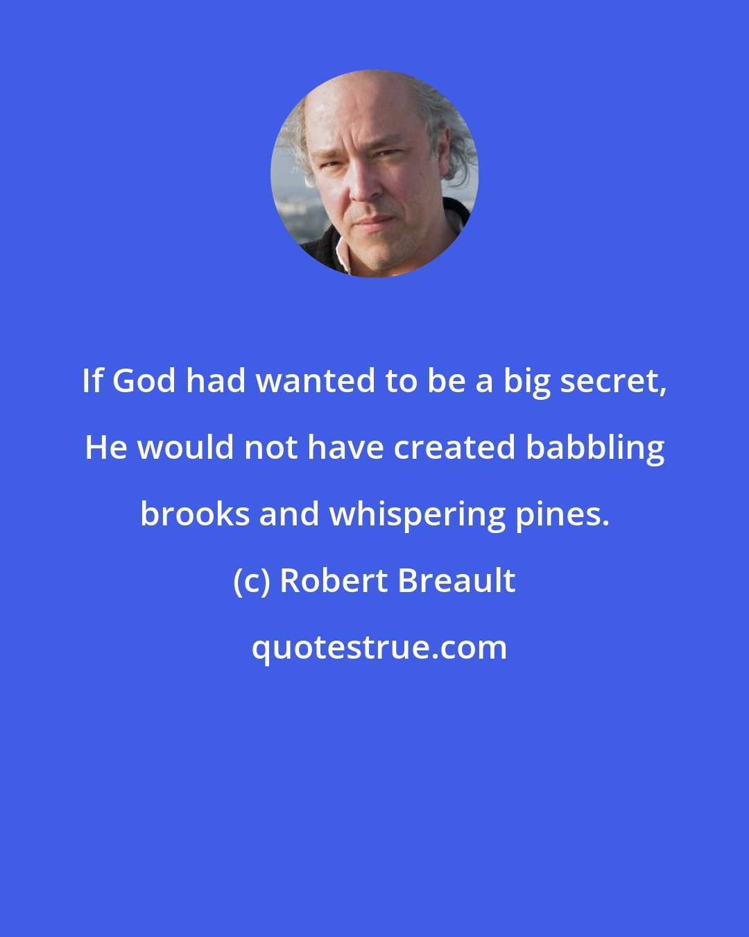 Robert Breault: If God had wanted to be a big secret, He would not have created babbling brooks and whispering pines.