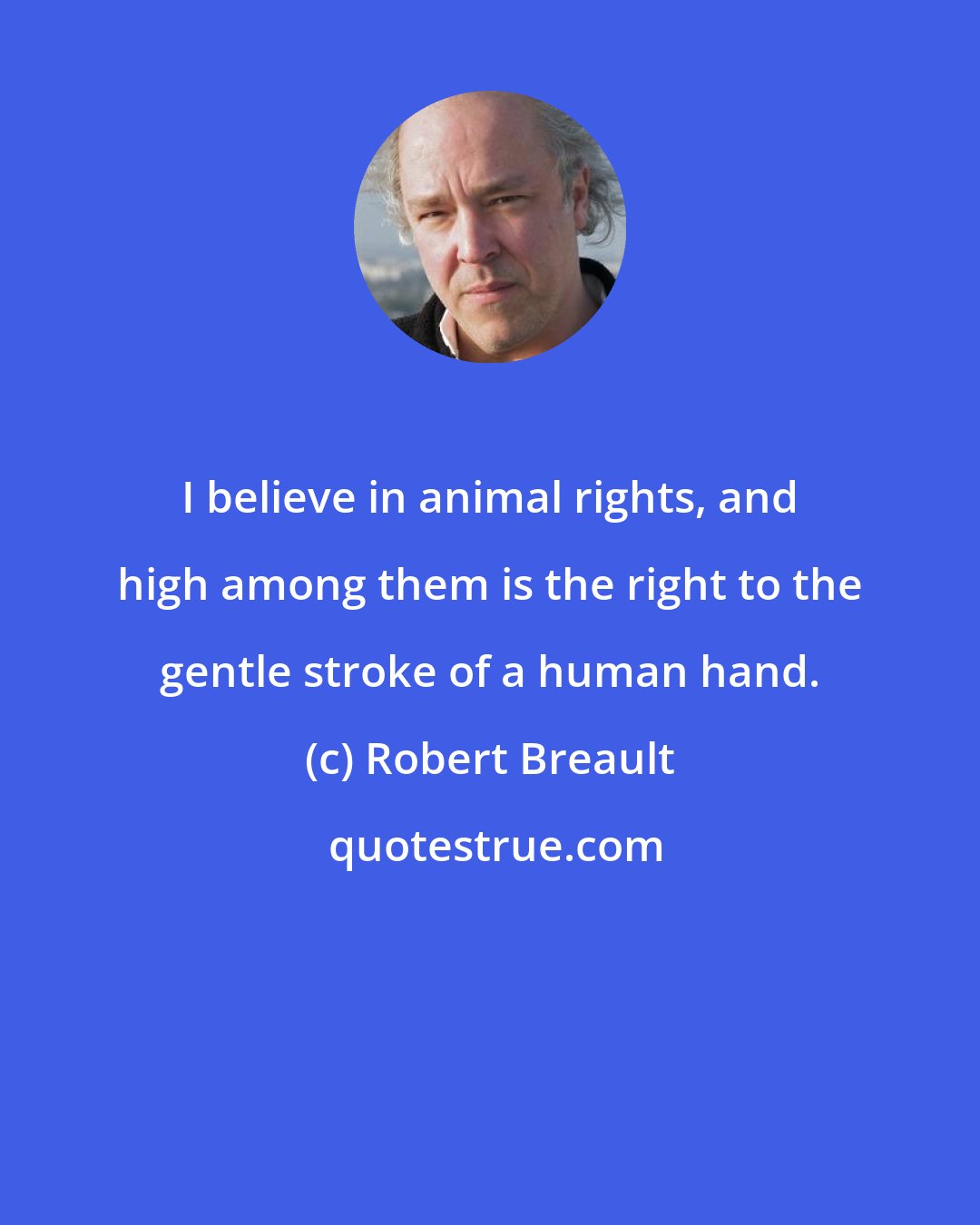 Robert Breault: I believe in animal rights, and high among them is the right to the gentle stroke of a human hand.