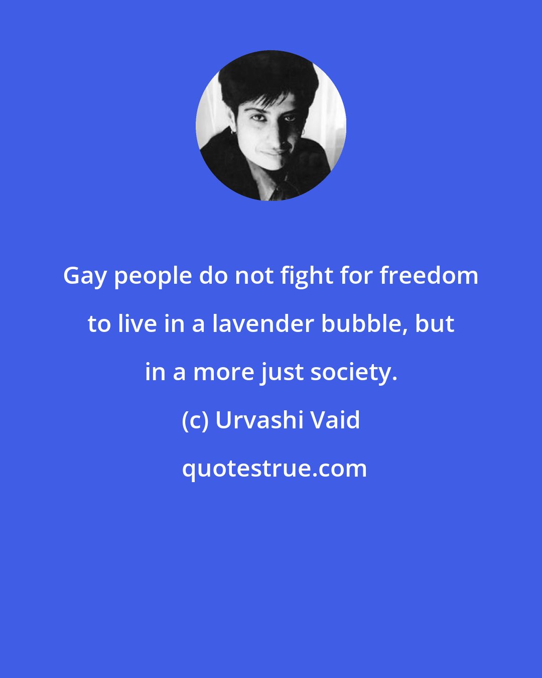 Urvashi Vaid: Gay people do not fight for freedom to live in a lavender bubble, but in a more just society.