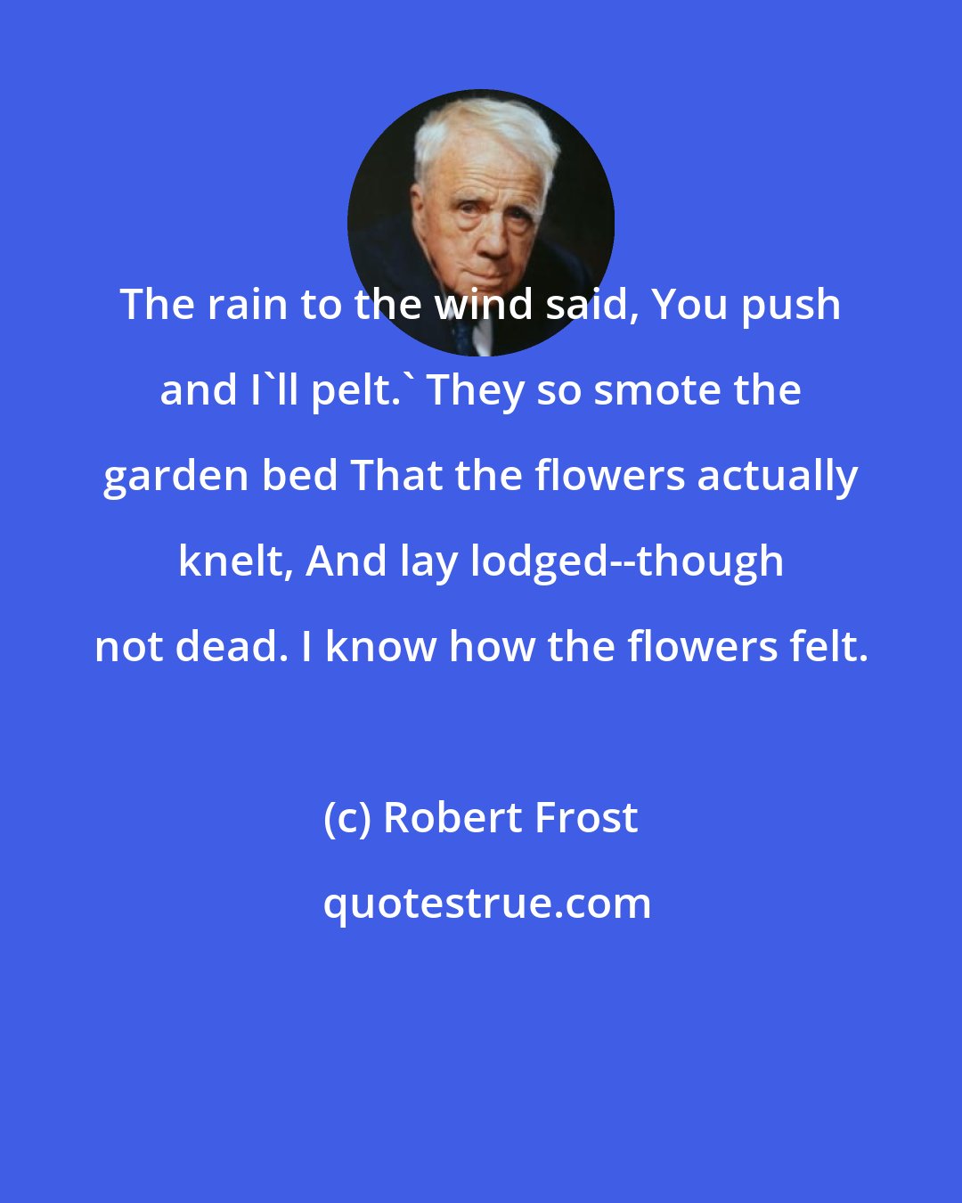 Robert Frost: The rain to the wind said, You push and I'll pelt.' They so smote the garden bed That the flowers actually knelt, And lay lodged--though not dead. I know how the flowers felt.