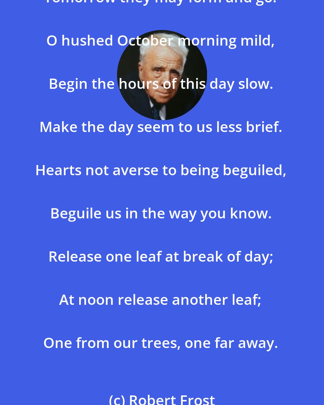 Robert Frost: O hushed October morning mild, 
Thy leaves have ripened to the fall; 
Tomorrow's wind, if it be wild,
Should waste them all. 
The crows above the forest call; 
Tomorrow they may form and go. 
O hushed October morning mild, 
Begin the hours of this day slow. 
Make the day seem to us less brief. 
Hearts not averse to being beguiled, 
Beguile us in the way you know. 
Release one leaf at break of day; 
At noon release another leaf; 
One from our trees, one far away.